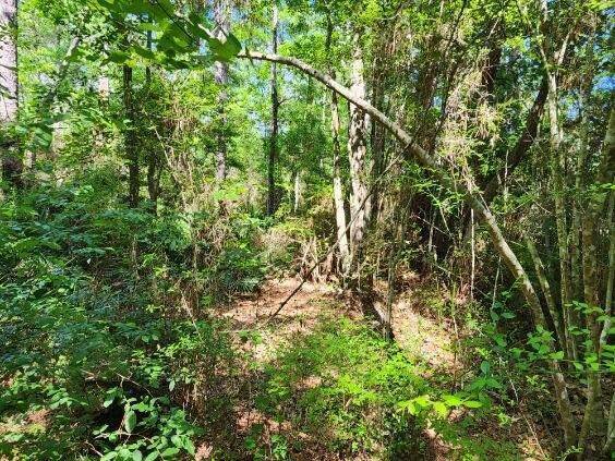 Ponce De Leon, FL 32455,.34 Acres Co Hwy 3280