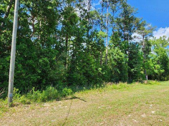 Ponce De Leon, FL 32455,.34 Acres Co Hwy 3280