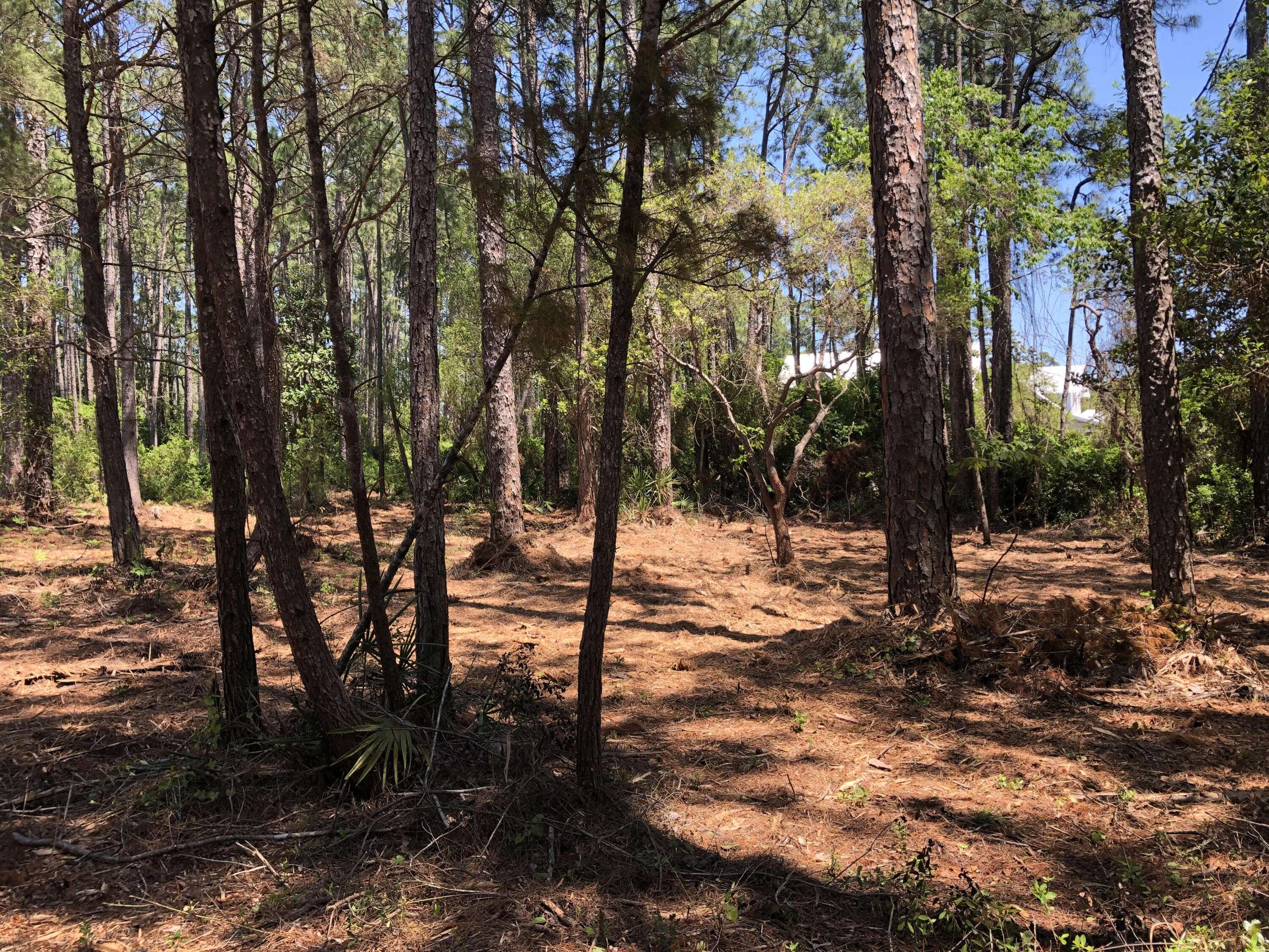 Santa Rosa Beach, FL 32459,LOT 17 Gulf Hills Dr