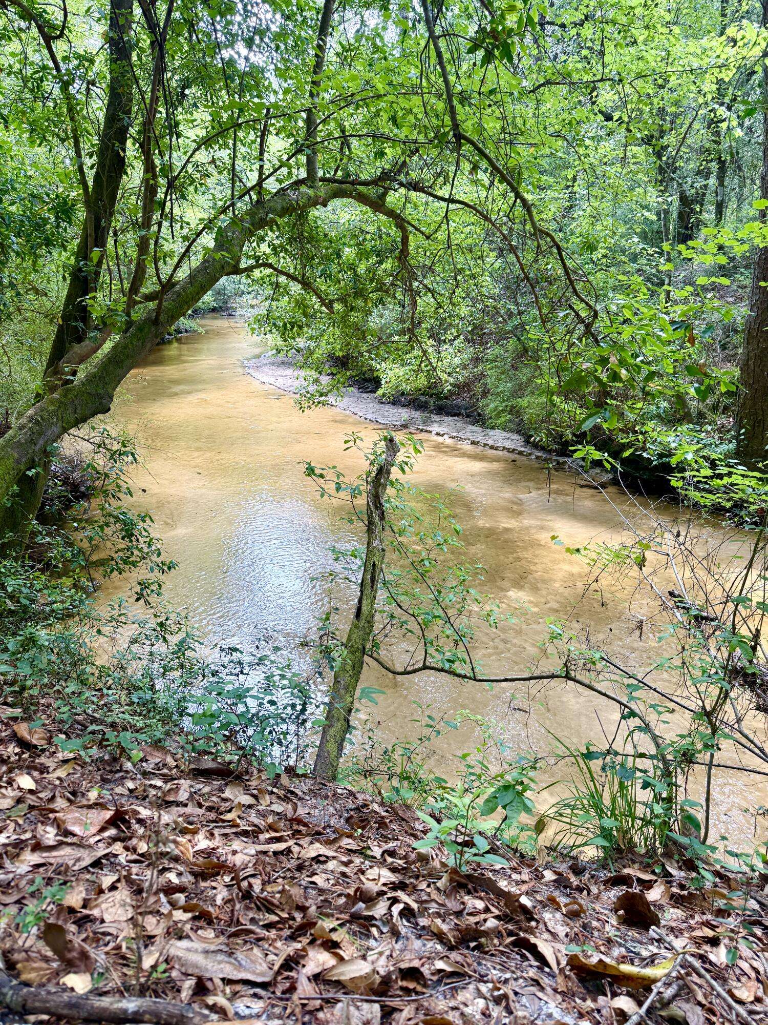 Defuniak Springs, FL 32433,50 Acres N Us Highway 331