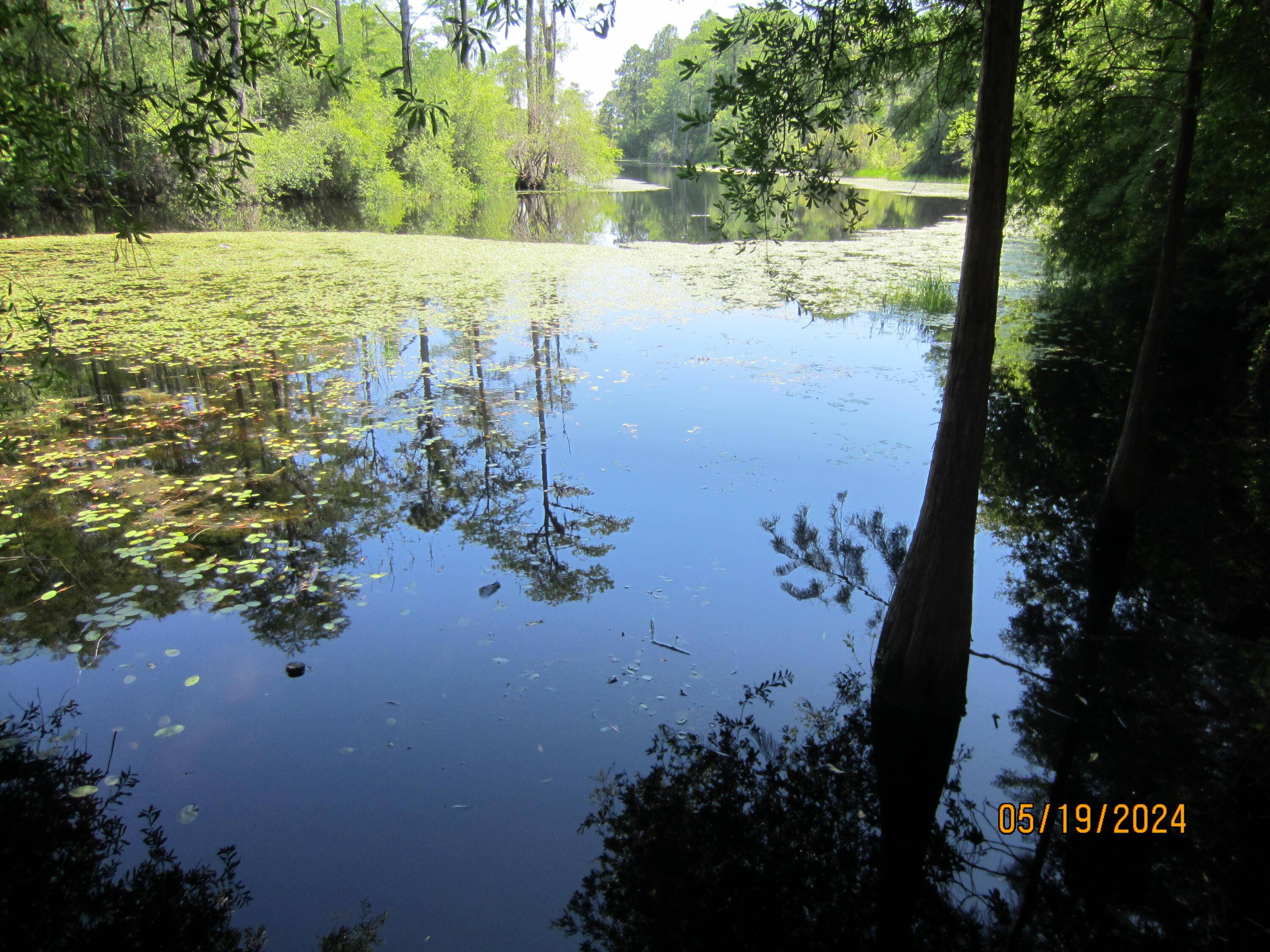 Santa Rosa Beach, FL 32459,Lot 8 Gulf Hills Drive