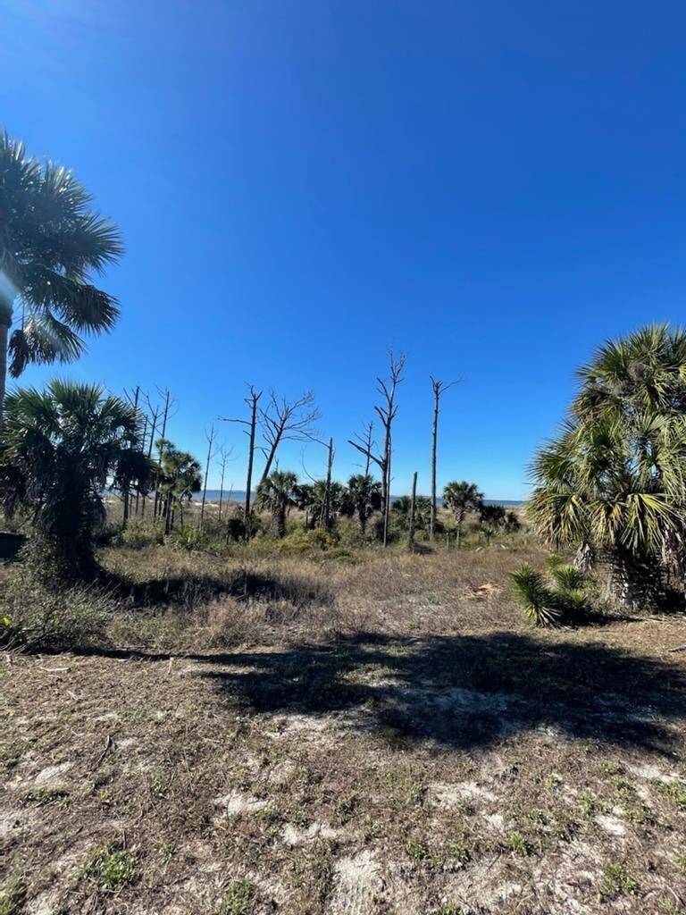 Port St. Joe, FL 32456,Lot 2 Watermark Way