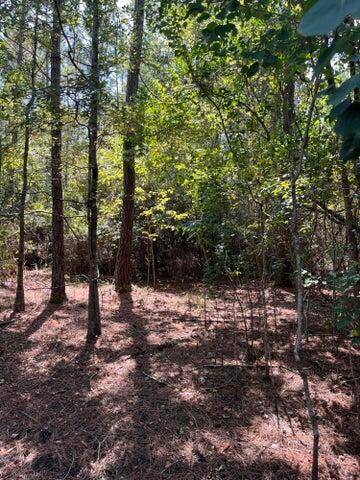 Bonifay, FL 32425,000 Wedgewood Drive