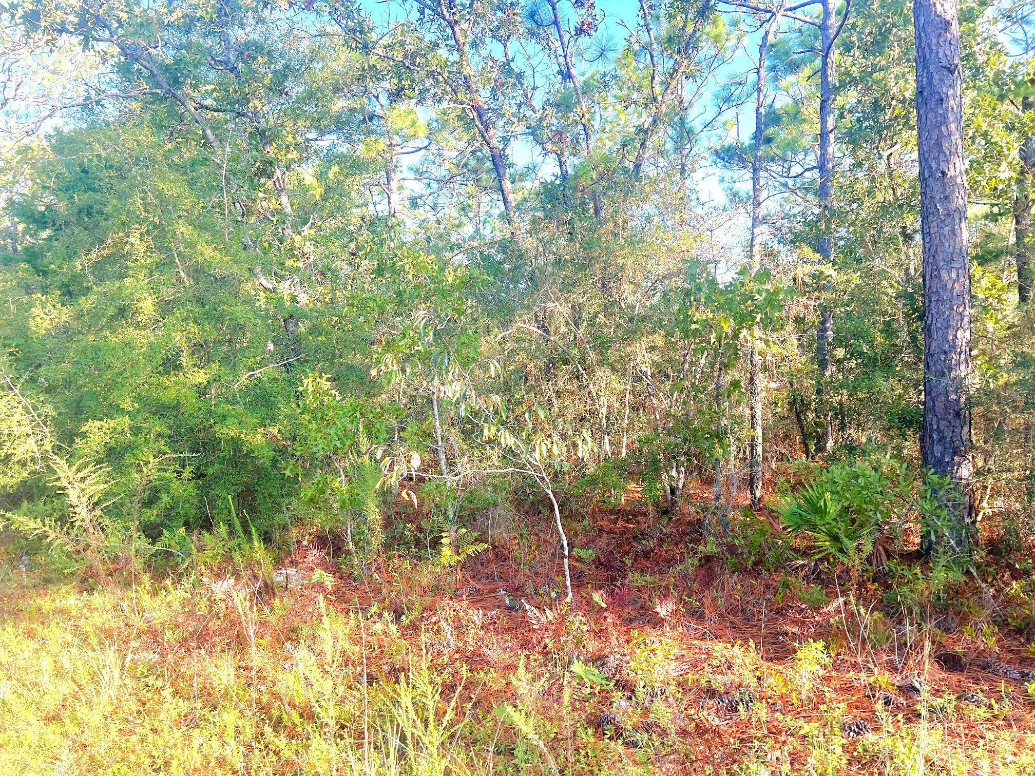 Defuniak Springs, FL 32433,Lot 25 E Clover Lane