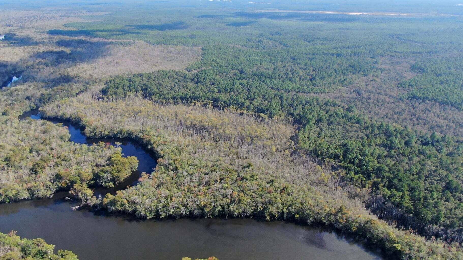 Vernon, FL 32462,40 ACRES Bunker Creek Area