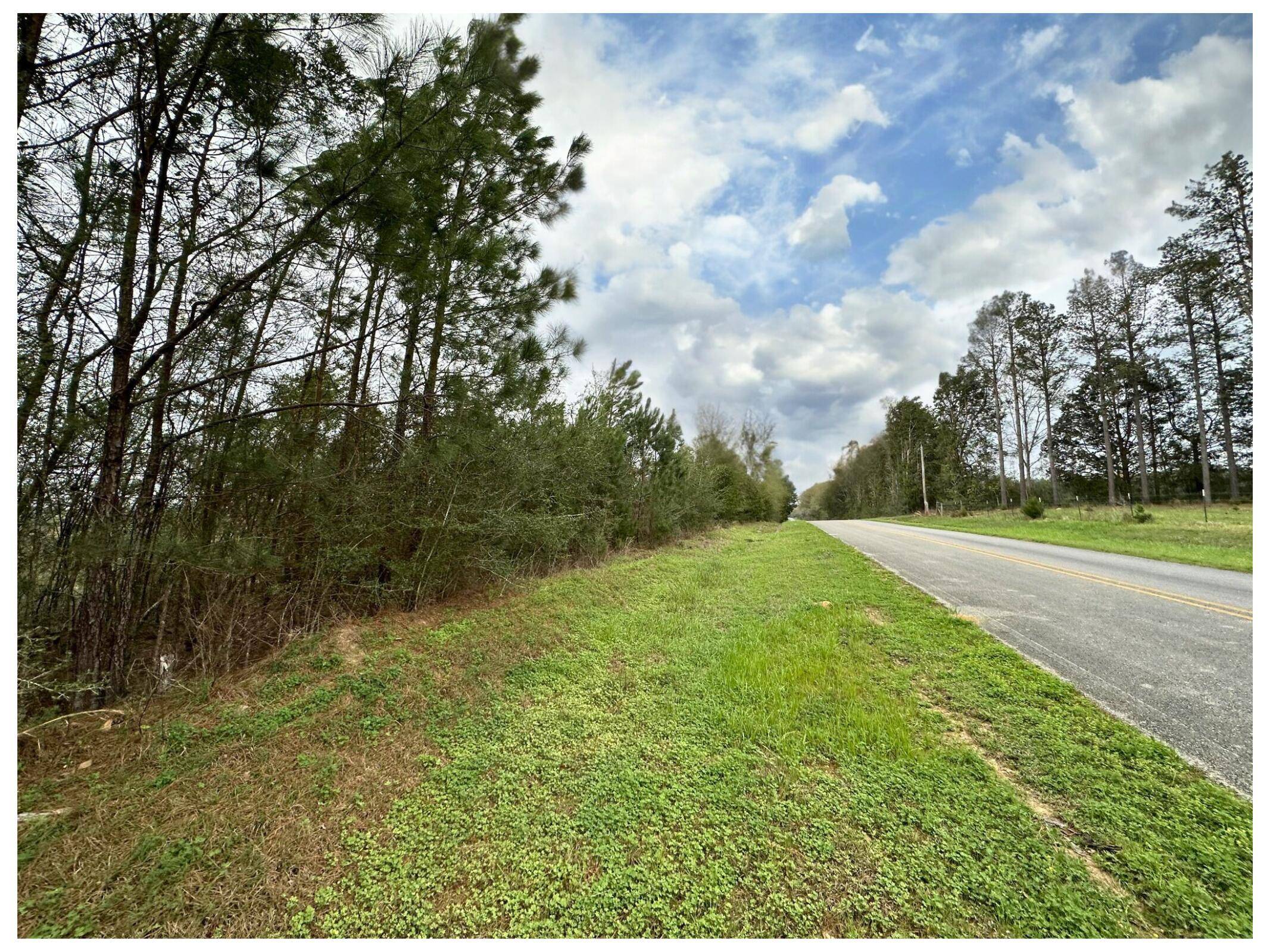 Defuniak Springs, FL 32433,Tract#6201 8 Mile Cemetery Road  #2A