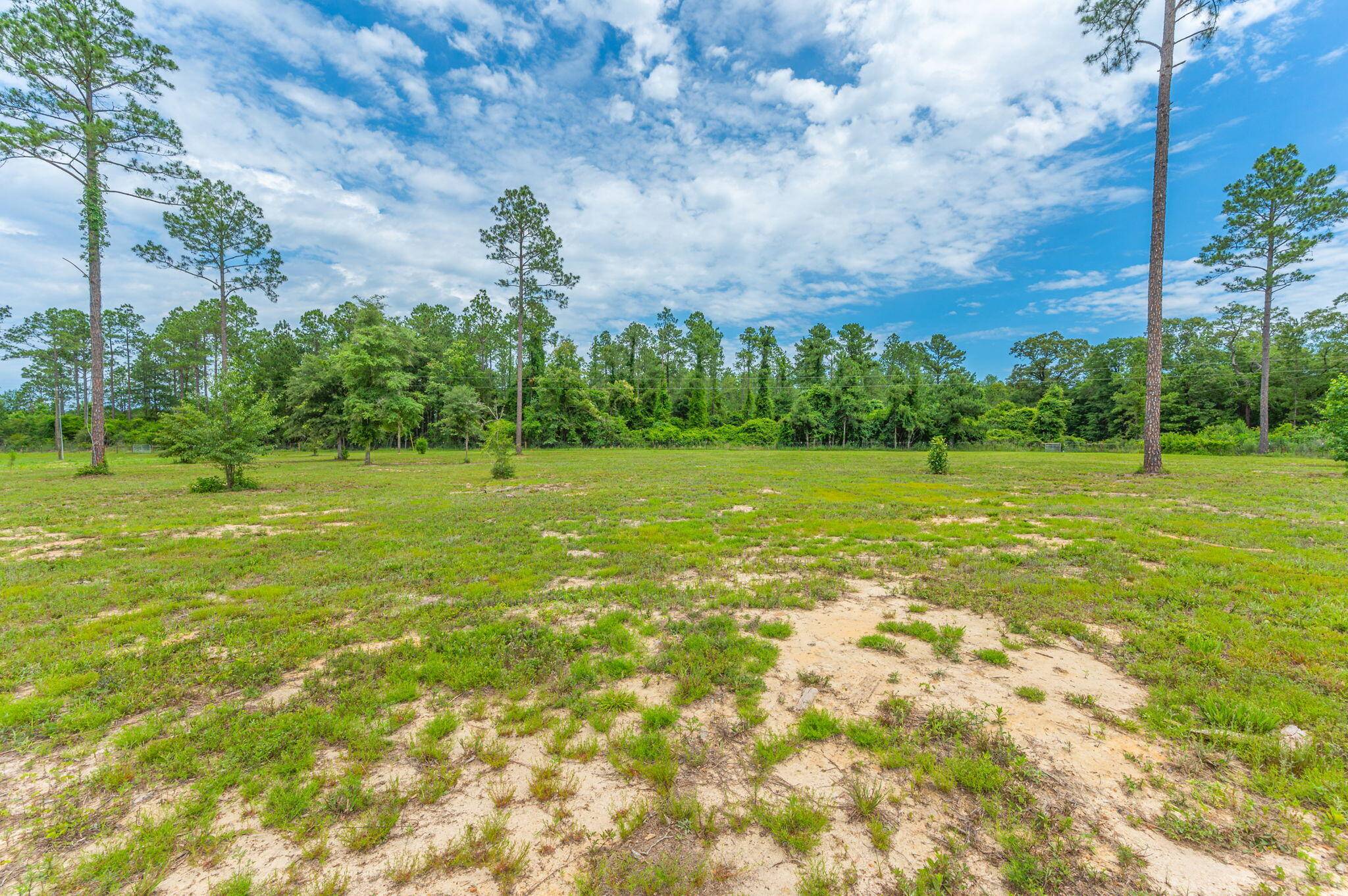 Laurel Hill, FL 32567,10 ACRES BUCK TYNER