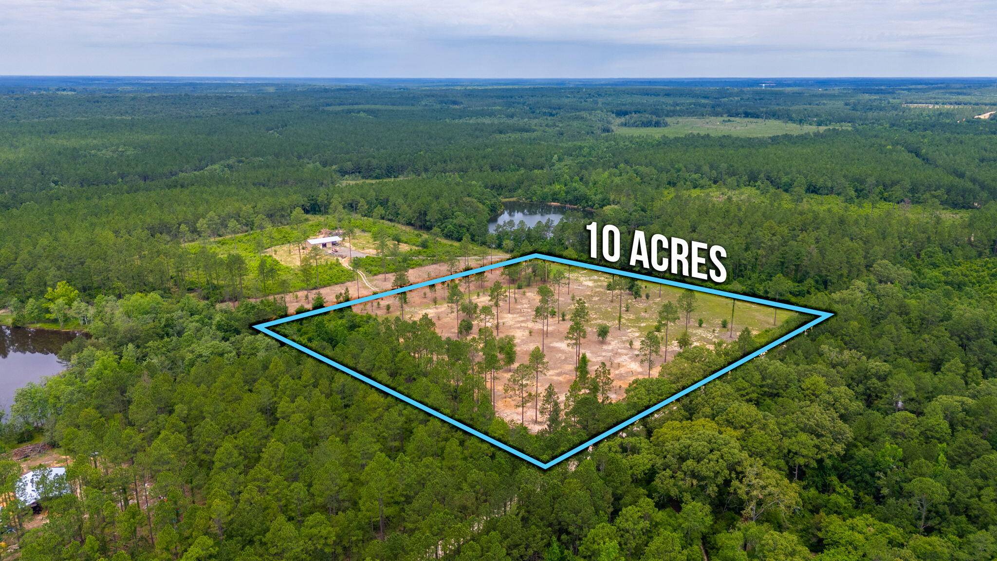 Laurel Hill, FL 32567,10 ACRES BUCK TYNER