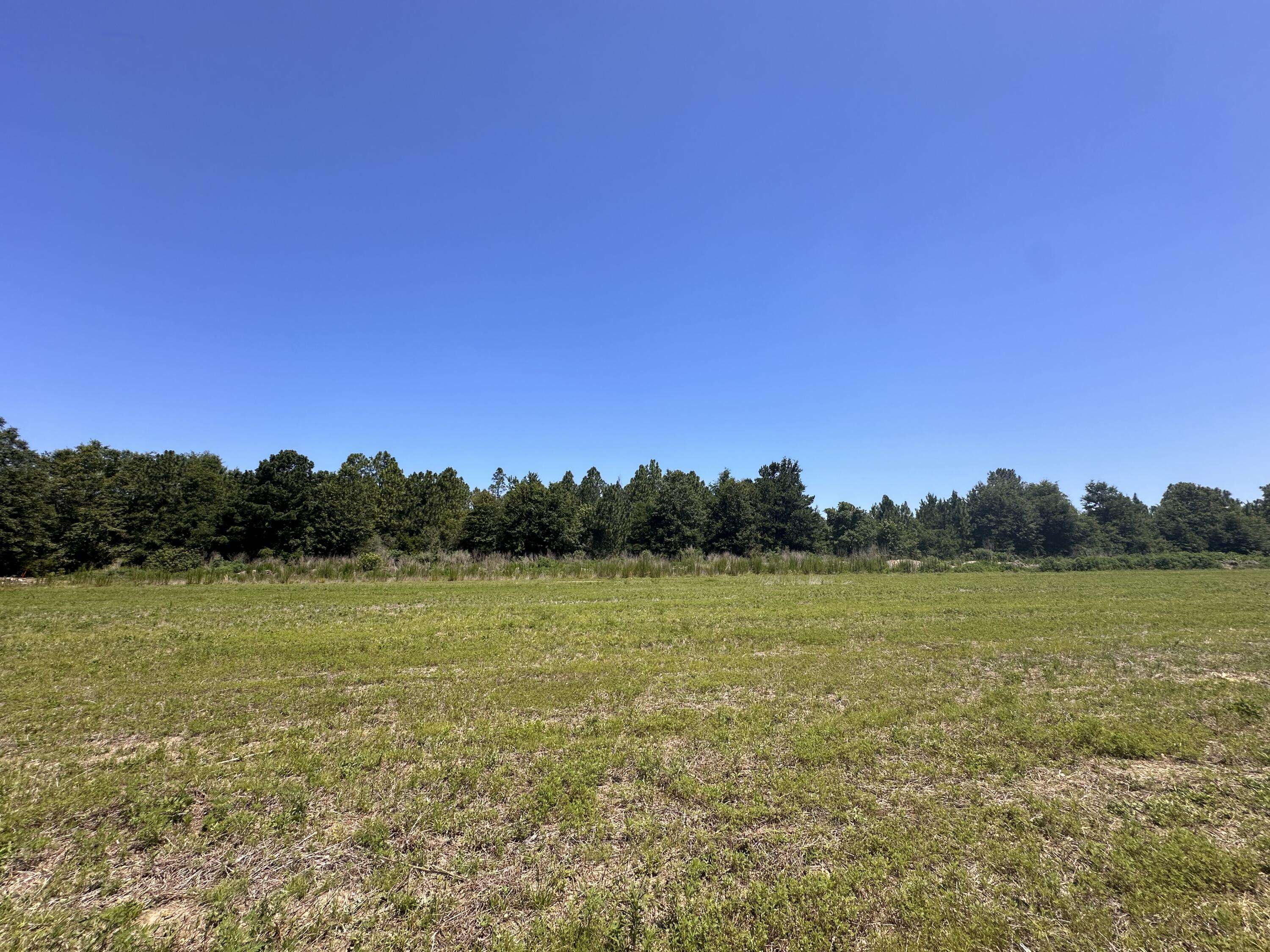 Defuniak Springs, FL 32433,0 King Lake Road  #Parcel D