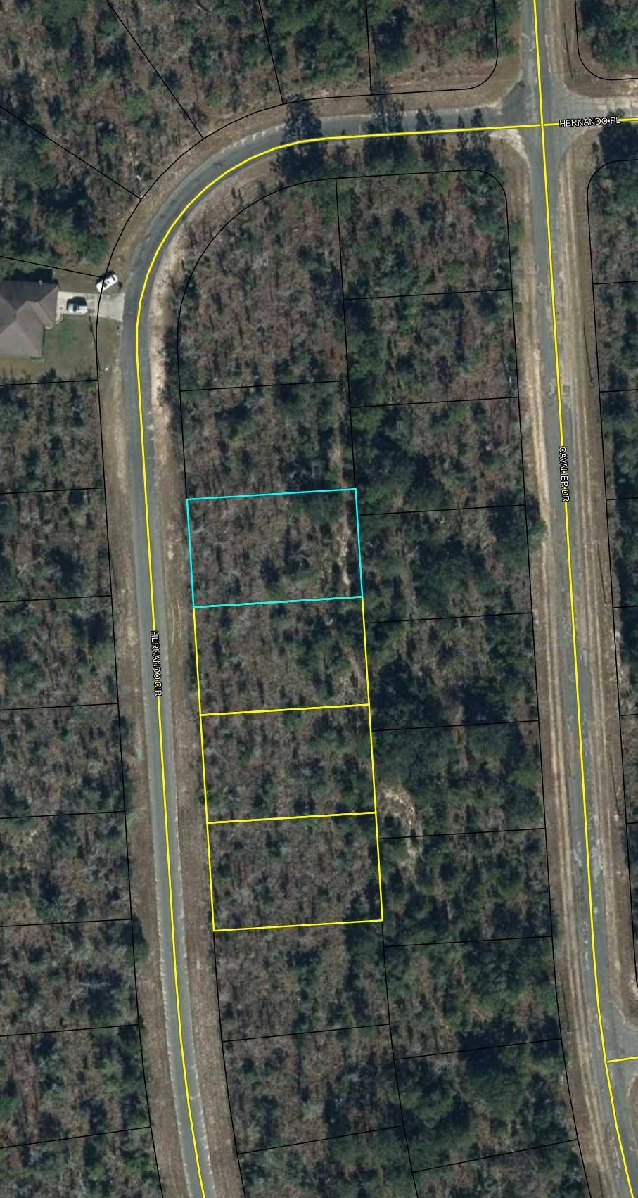 Chipley, FL 32428,LOT 3 HERNANDO Circle