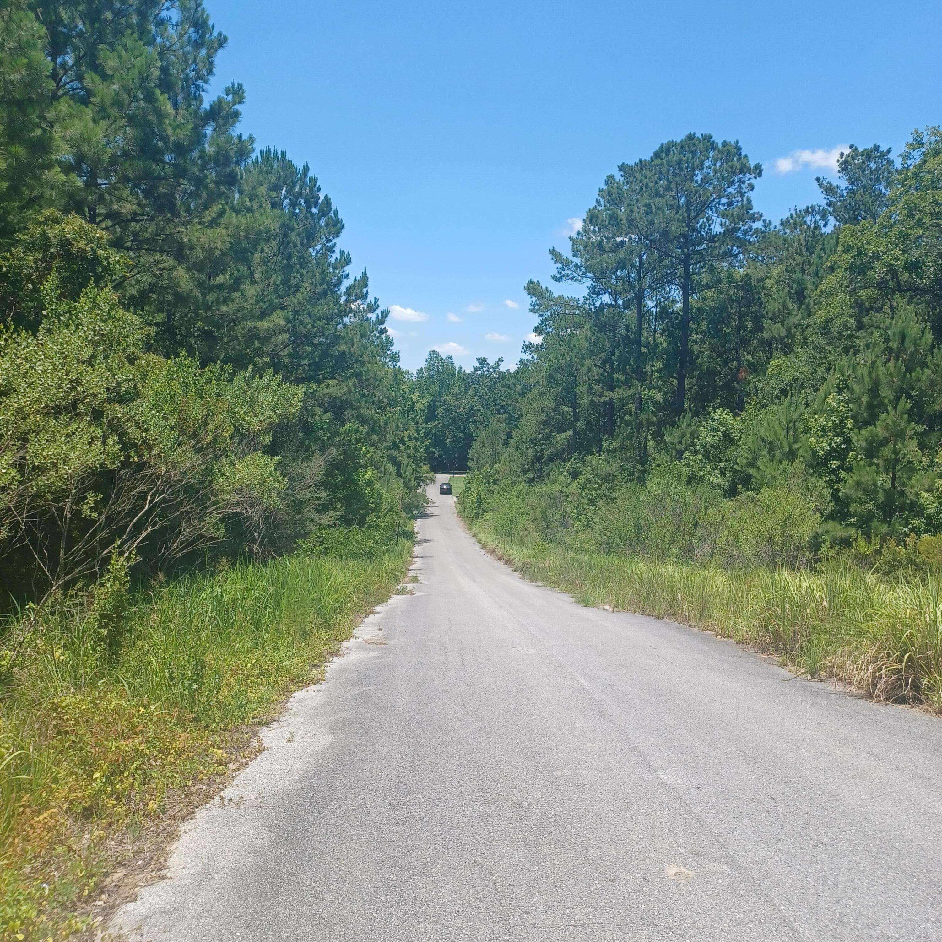 Defuniak Springs, FL 32435,Lot 5 Pleasant Way