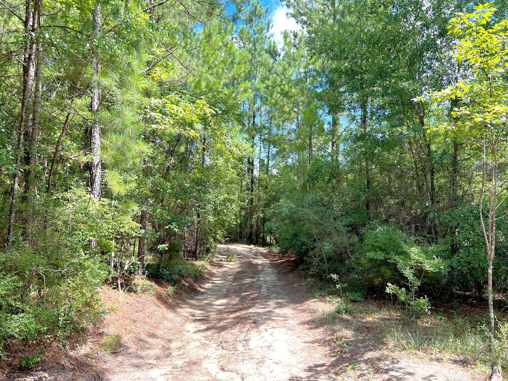 Ponce De Leon, FL 32455,30 Ac Brake Road