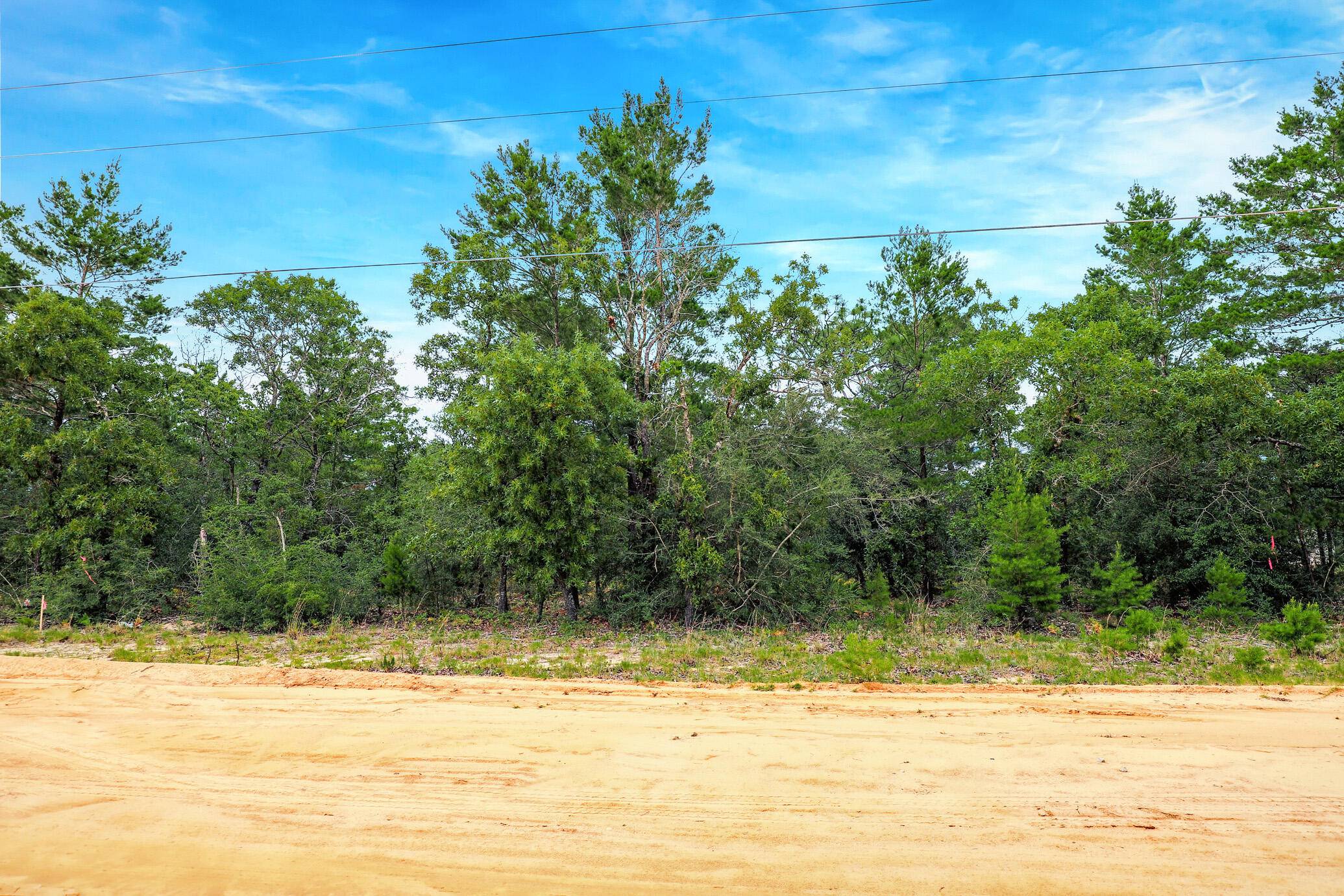 Defuniak Springs, FL 32433,LOT 4 E Honeysuckle Street