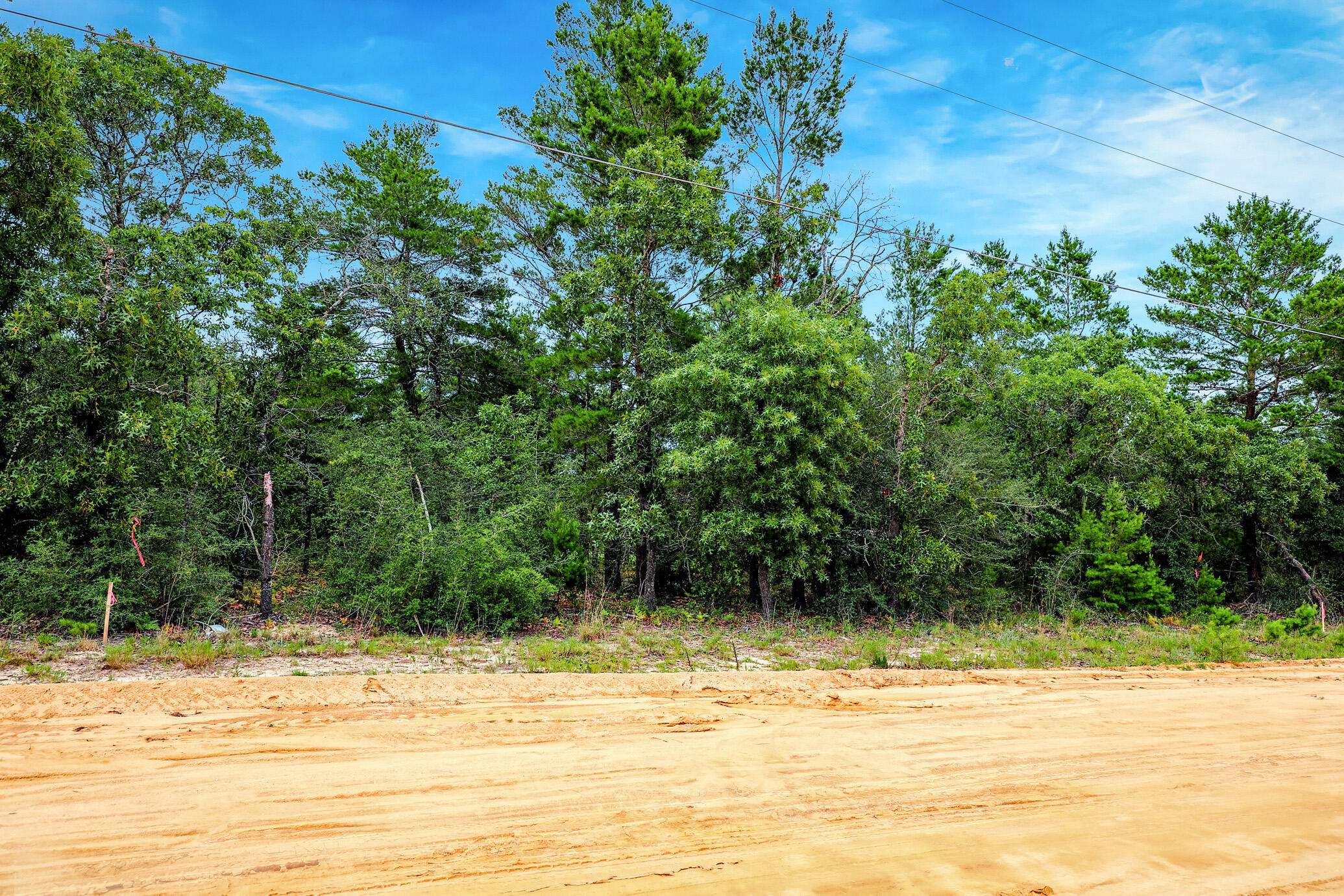 Defuniak Springs, FL 32433,LOT 4 E Honeysuckle Street