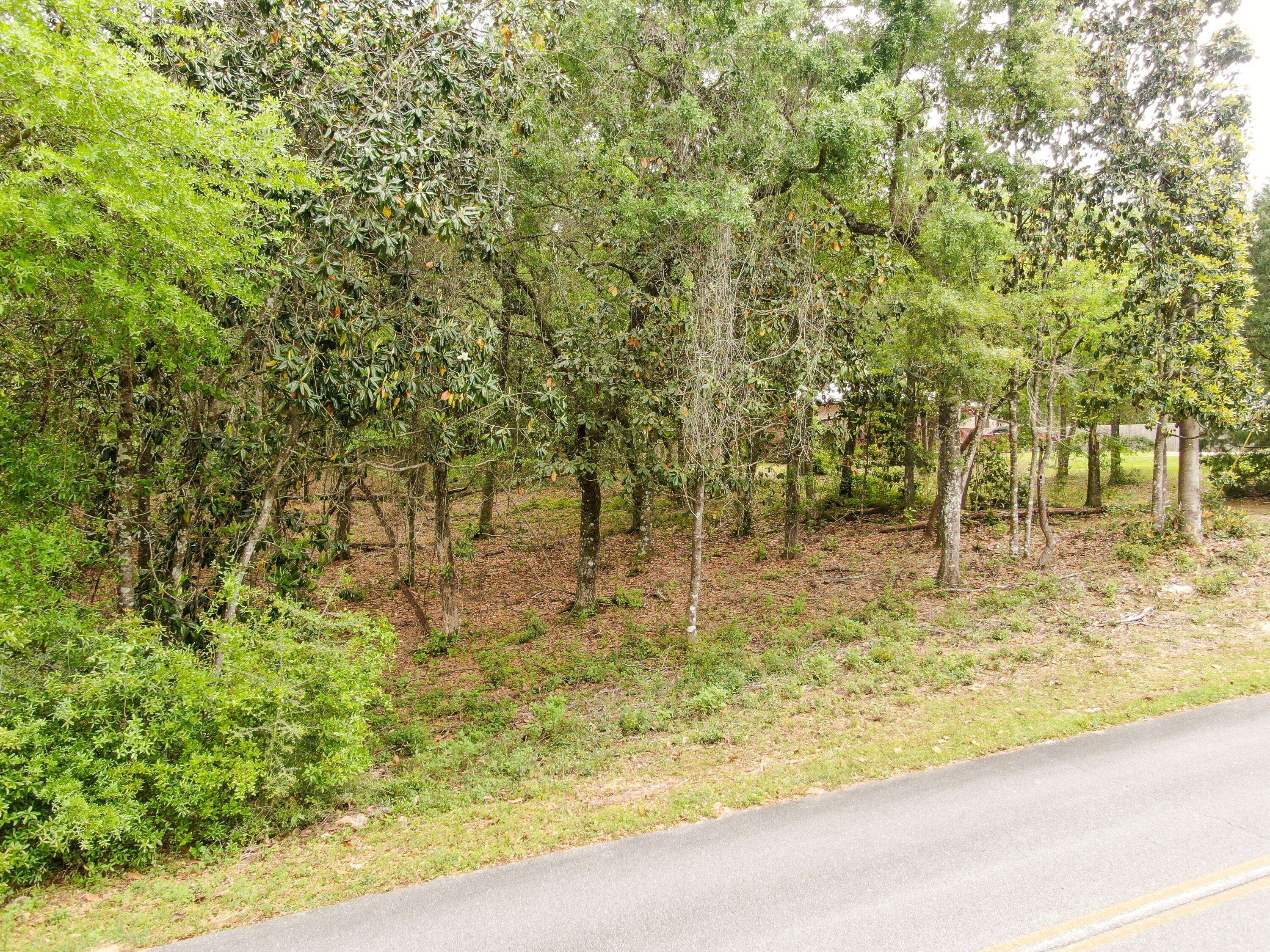 Defuniak Springs, FL 32433,LOT 57 Lake Holley Estates