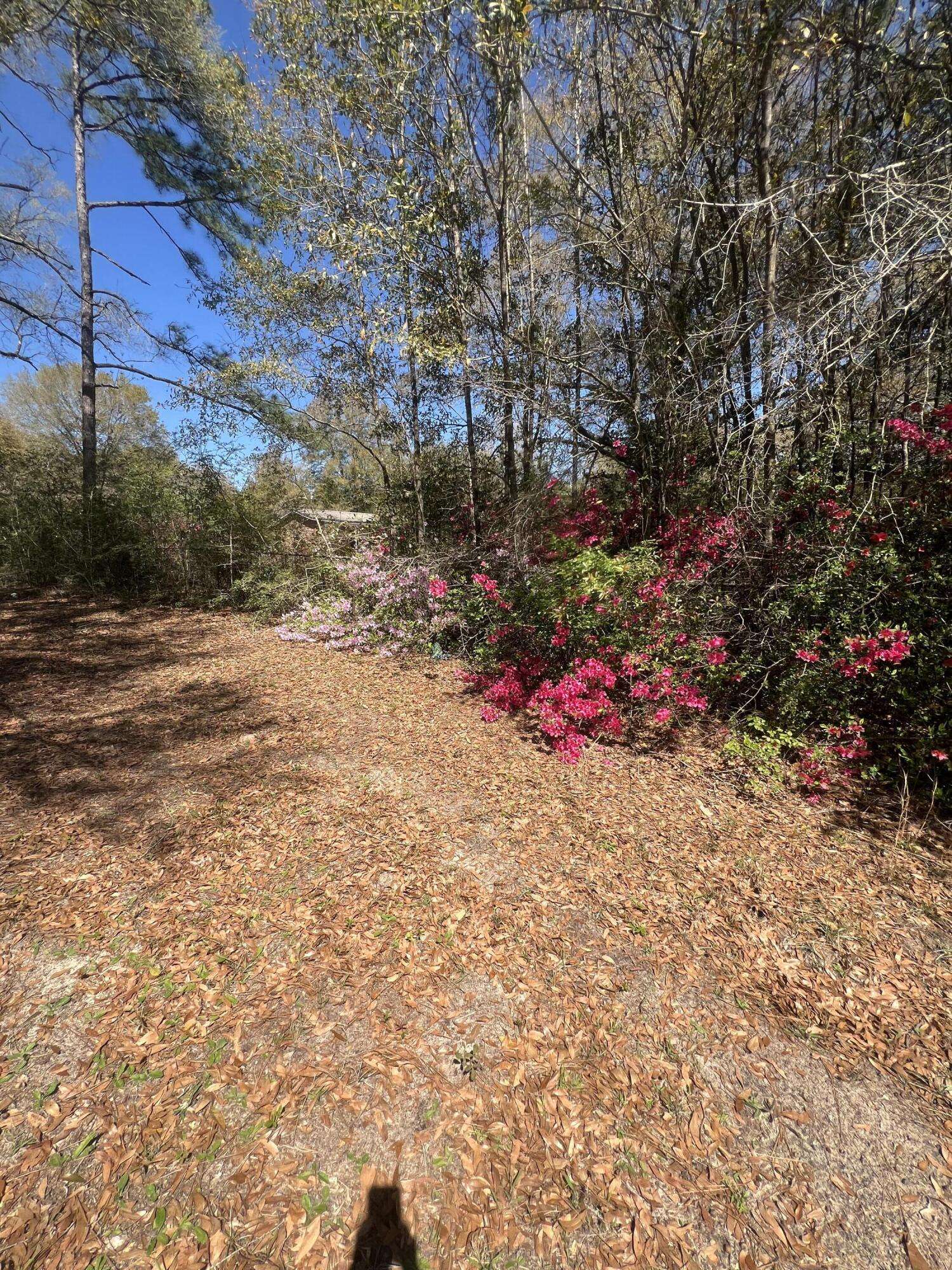 Baker, FL 32531,1721 Highway 90