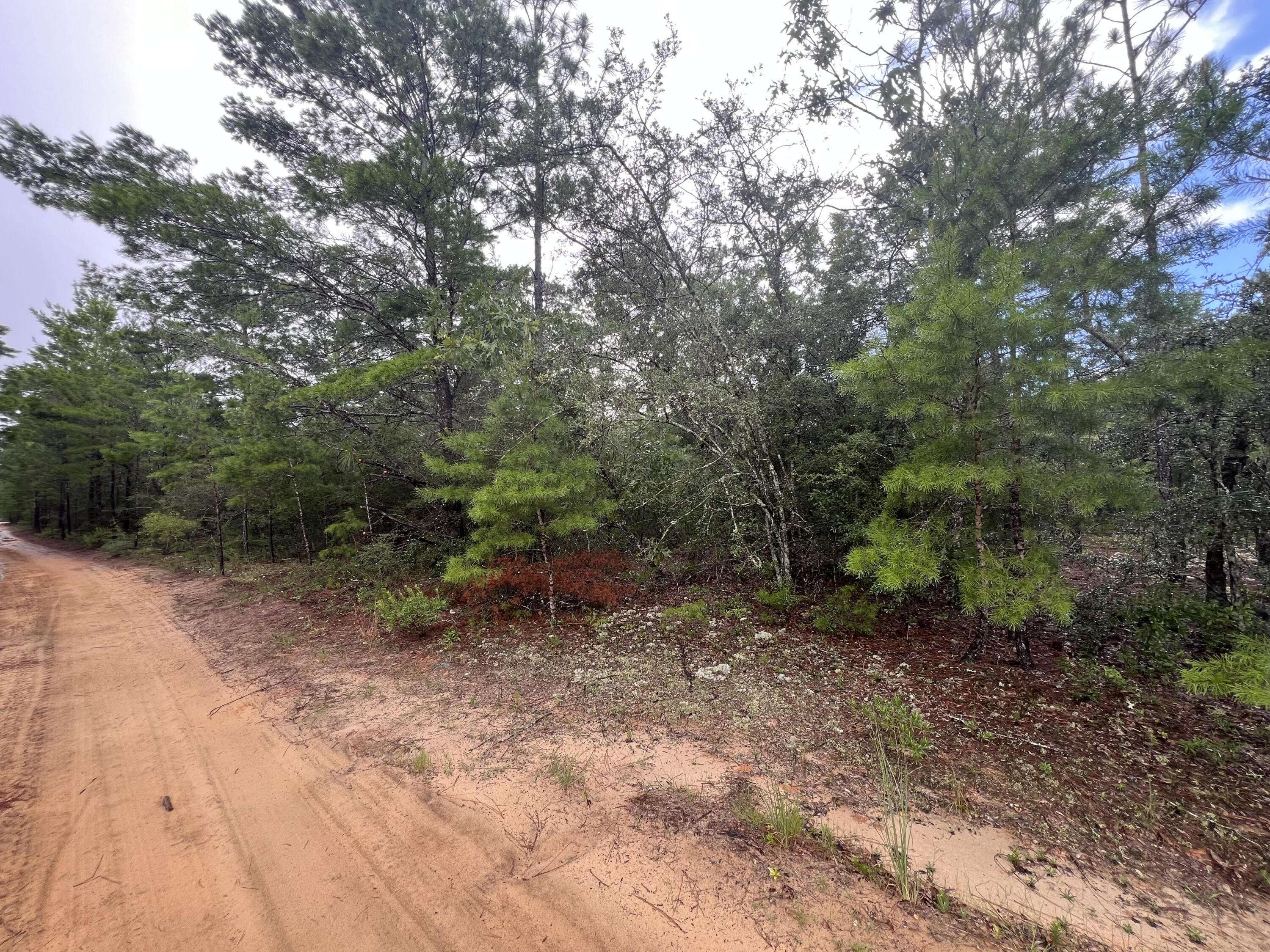 Defuniak Springs, FL 32433,Lot 1,2,13 Round Table Road