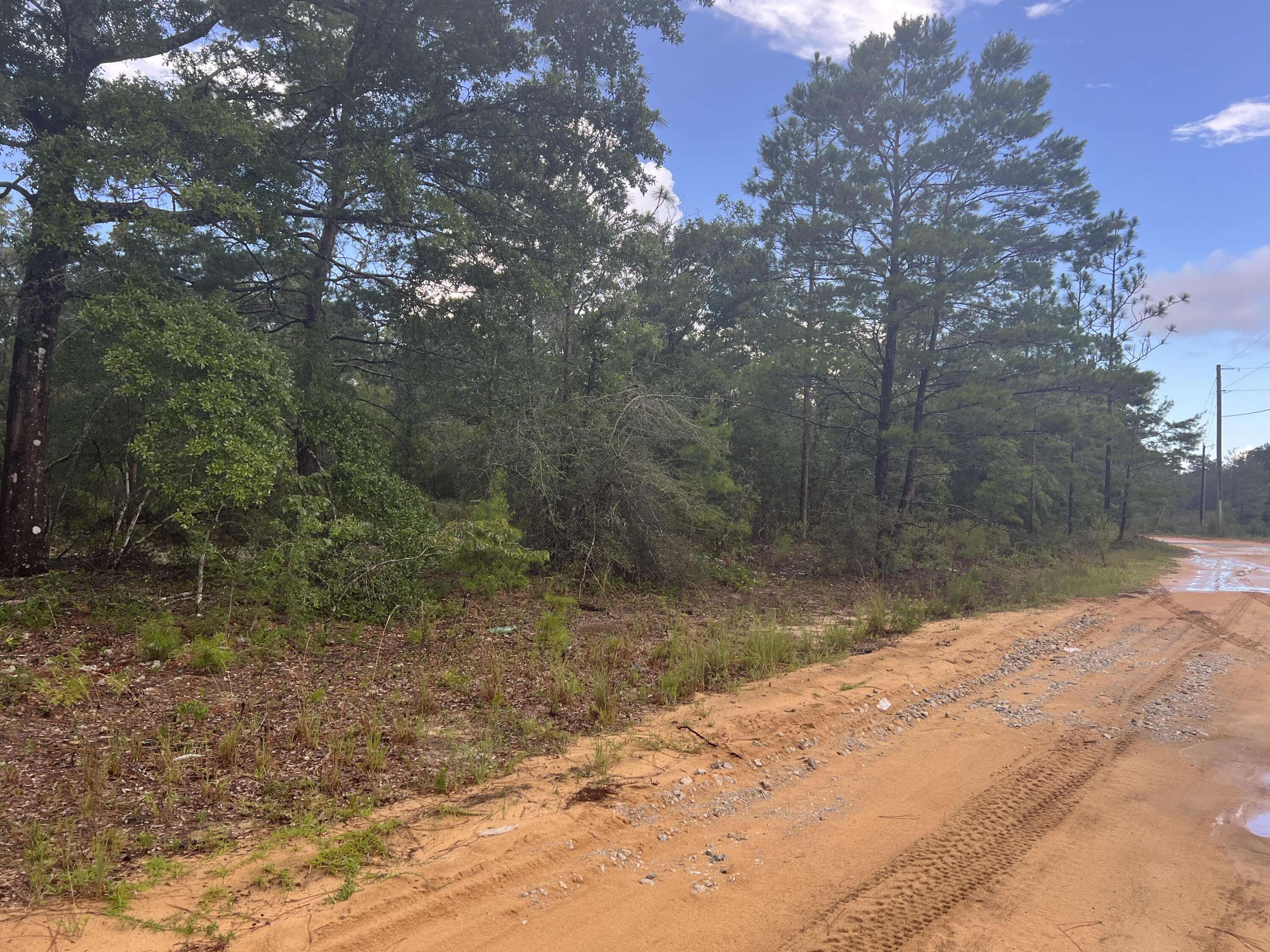 Defuniak Springs, FL 32433,Lot 1,2,13 Round Table Road