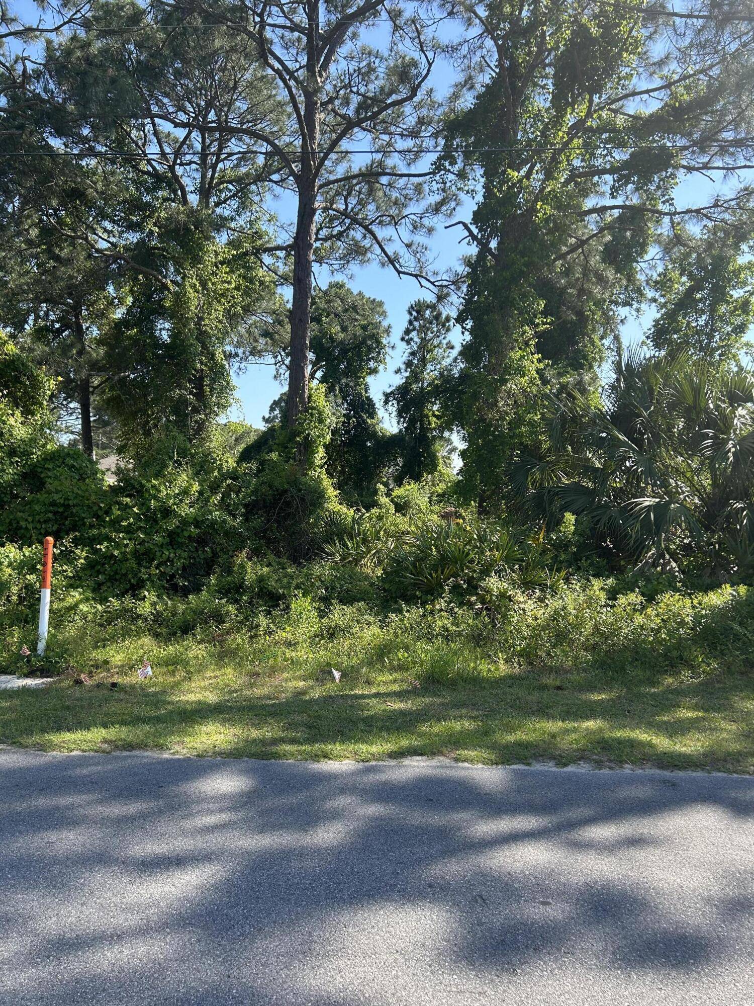 Miramar Beach, FL 32550,Lot 9 Forest Shore Drive