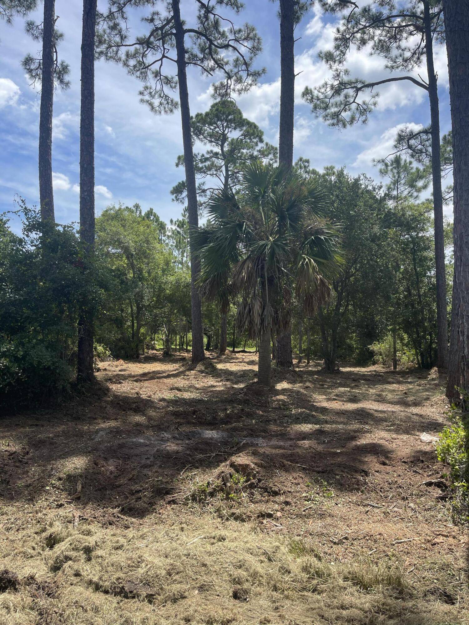 Cape San Blas, FL 32456,Lot 9 SR 30A