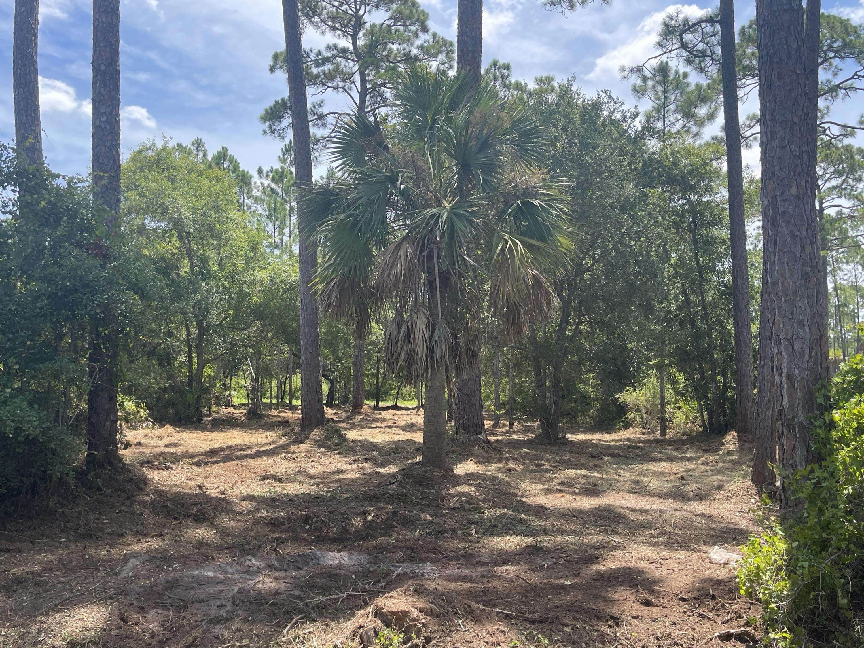 Cape San Blas, FL 32456,Lot 9 SR 30A