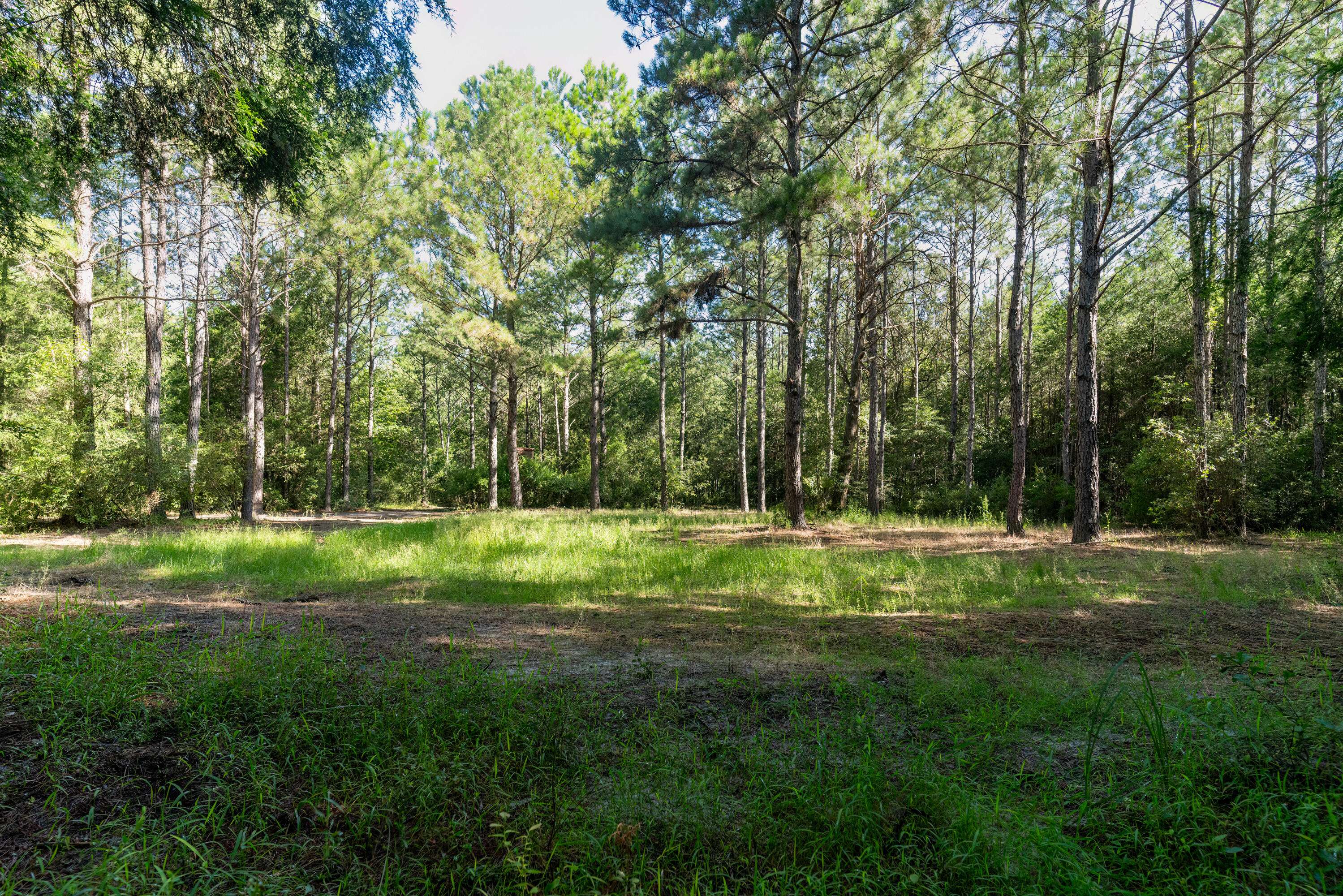 Baker, FL 32531,7011 Eadie Cotton Road