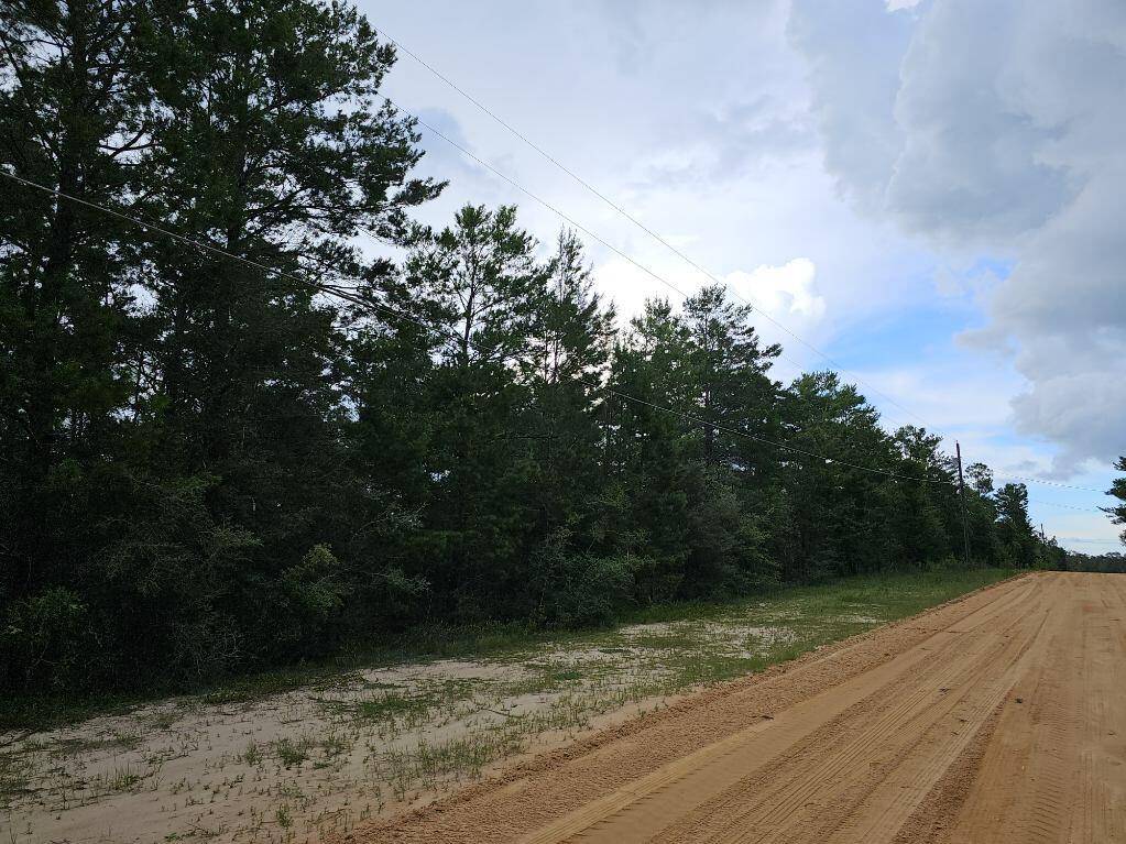 Defuniak Springs, FL 32433,Lot 26 E Marigold Avenue