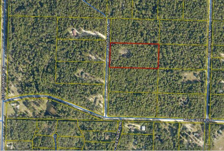 Defuniak Springs, FL 32433,TBD Live Oak Lane