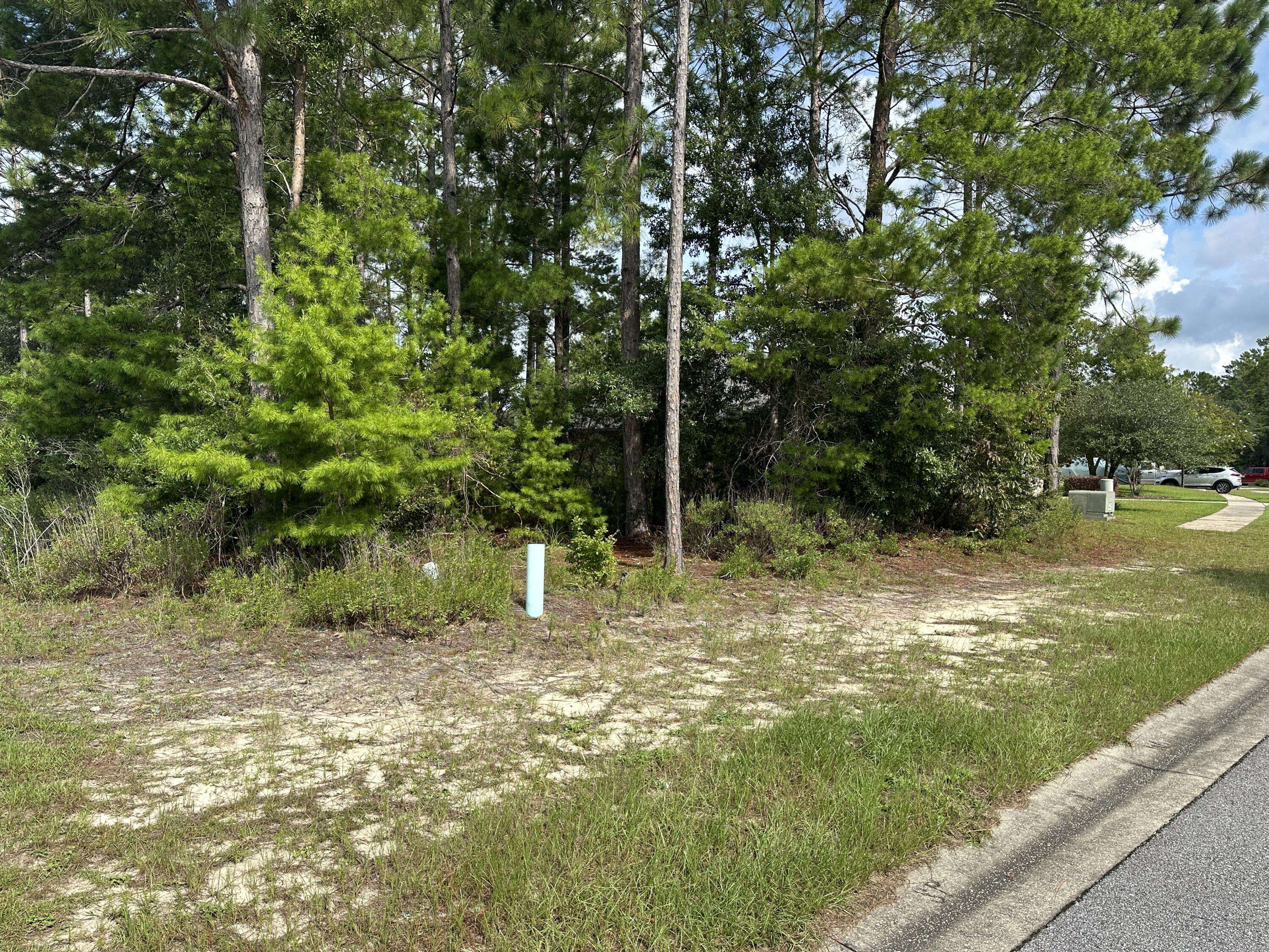 Freeport, FL 32439,Lot 129 Amadeus Avenue