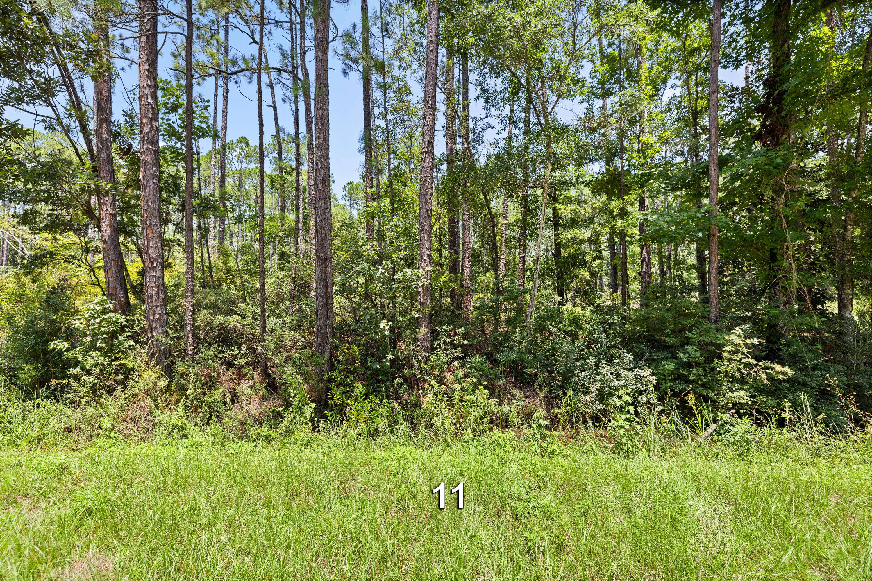 Freeport, FL 32439,Lot 11 Shadow Lane