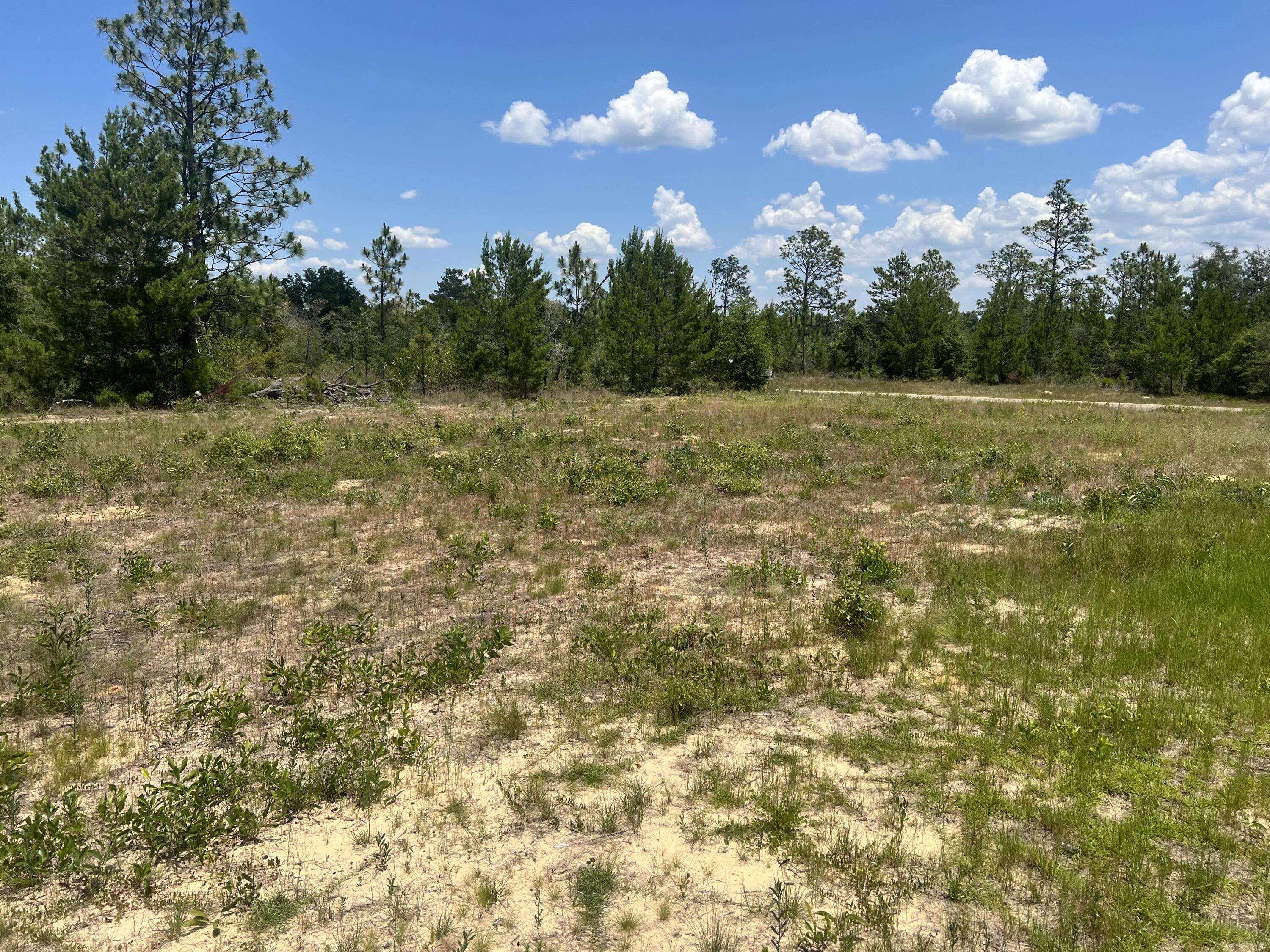 Chipley, FL 32428,TBD Independence drive  #2