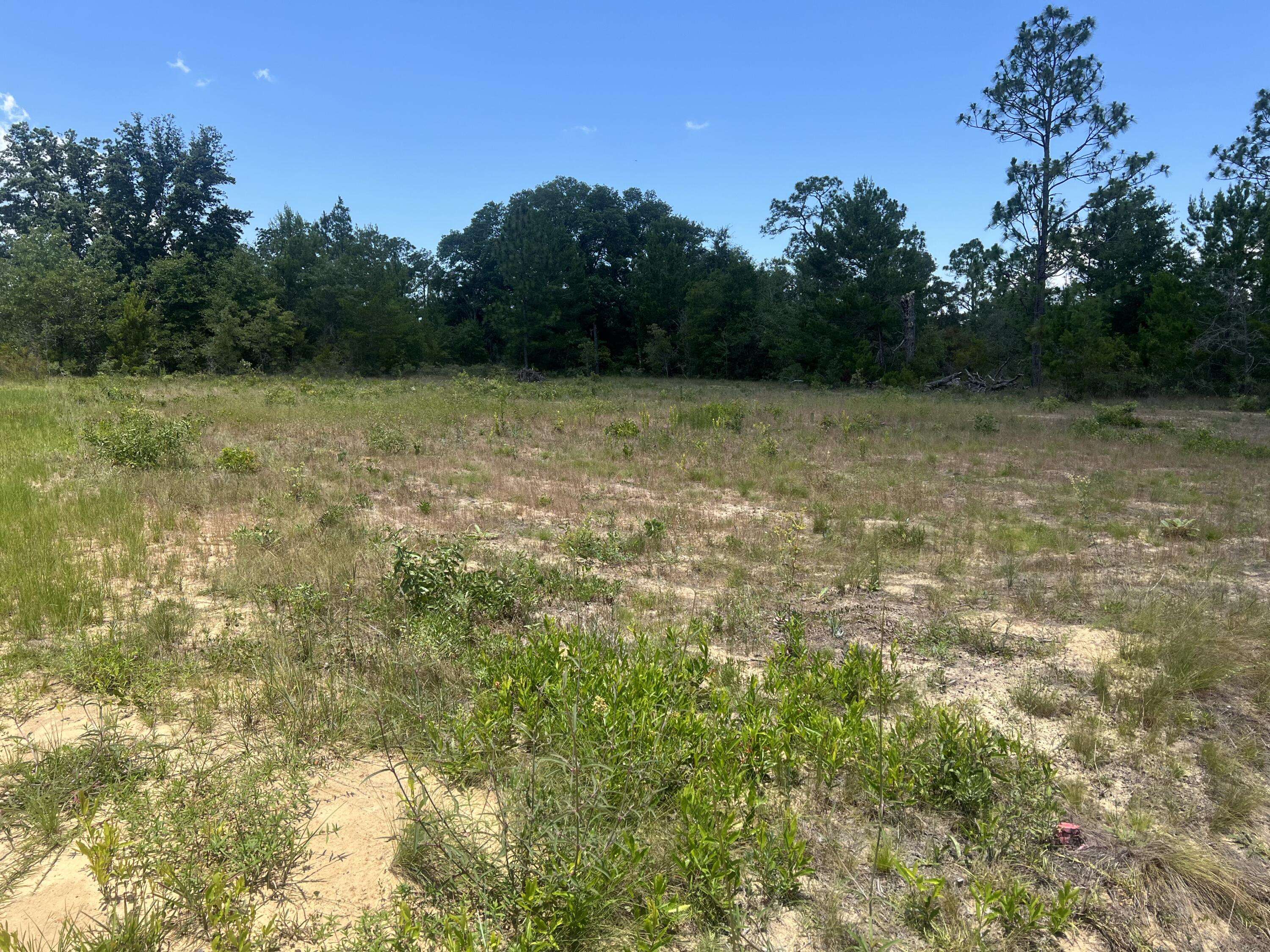 Chipley, FL 32428,TBD Independence drive  #2