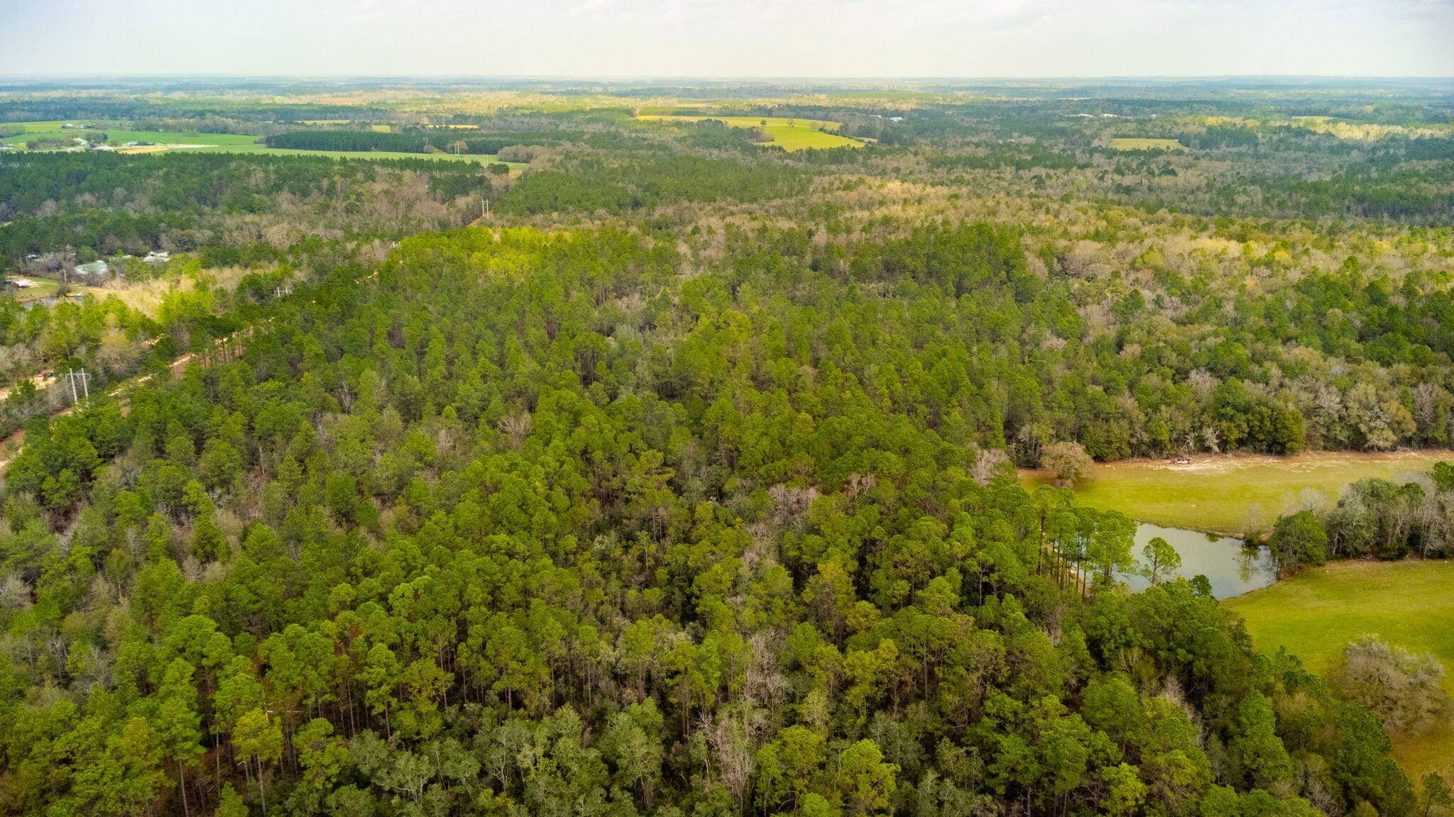 Defuniak Springs, FL 32433,40 Acres Hallelujah Trail