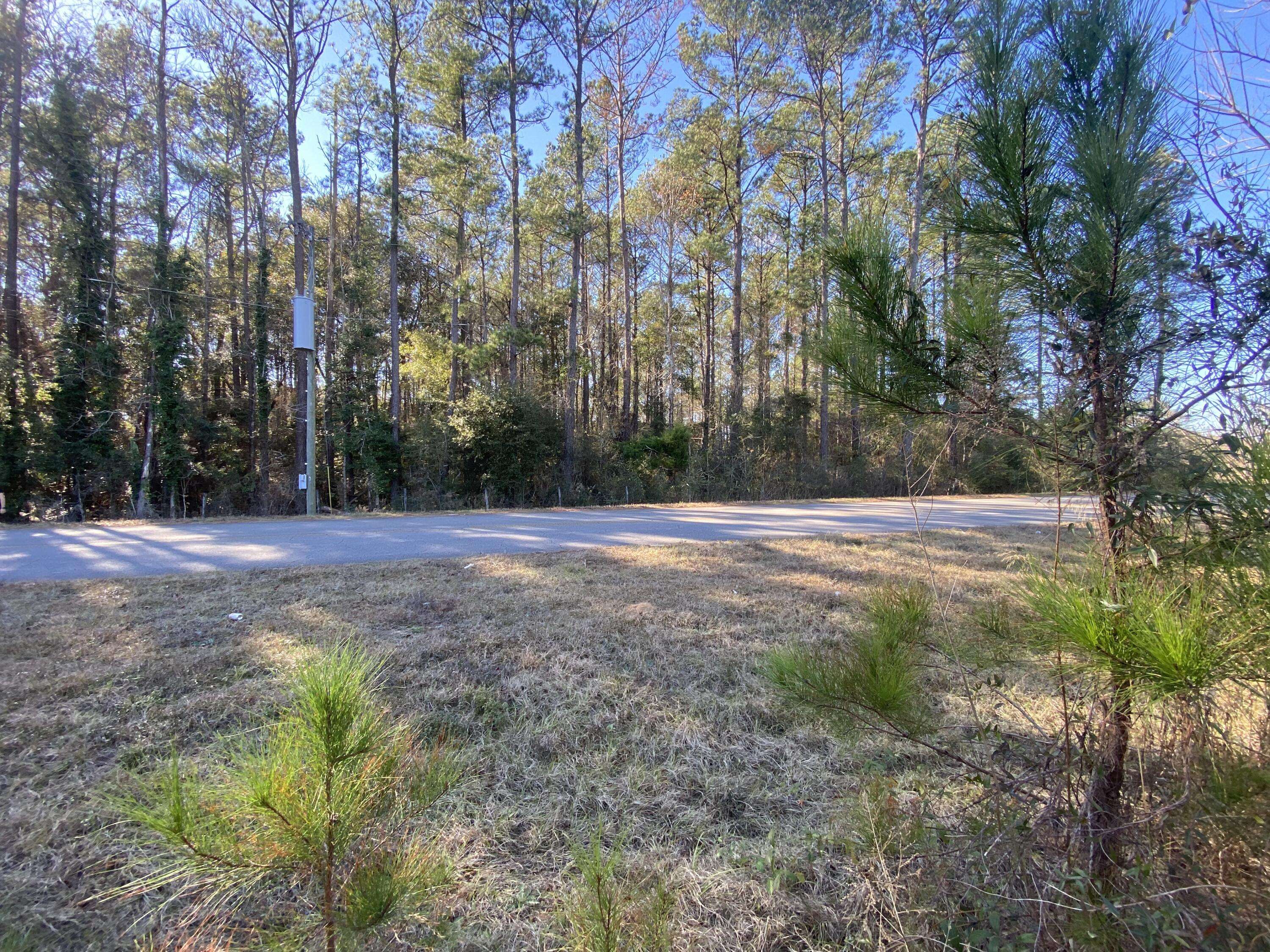 Laurel Hill, FL 32567,Parcel C Old Ebenezer Road