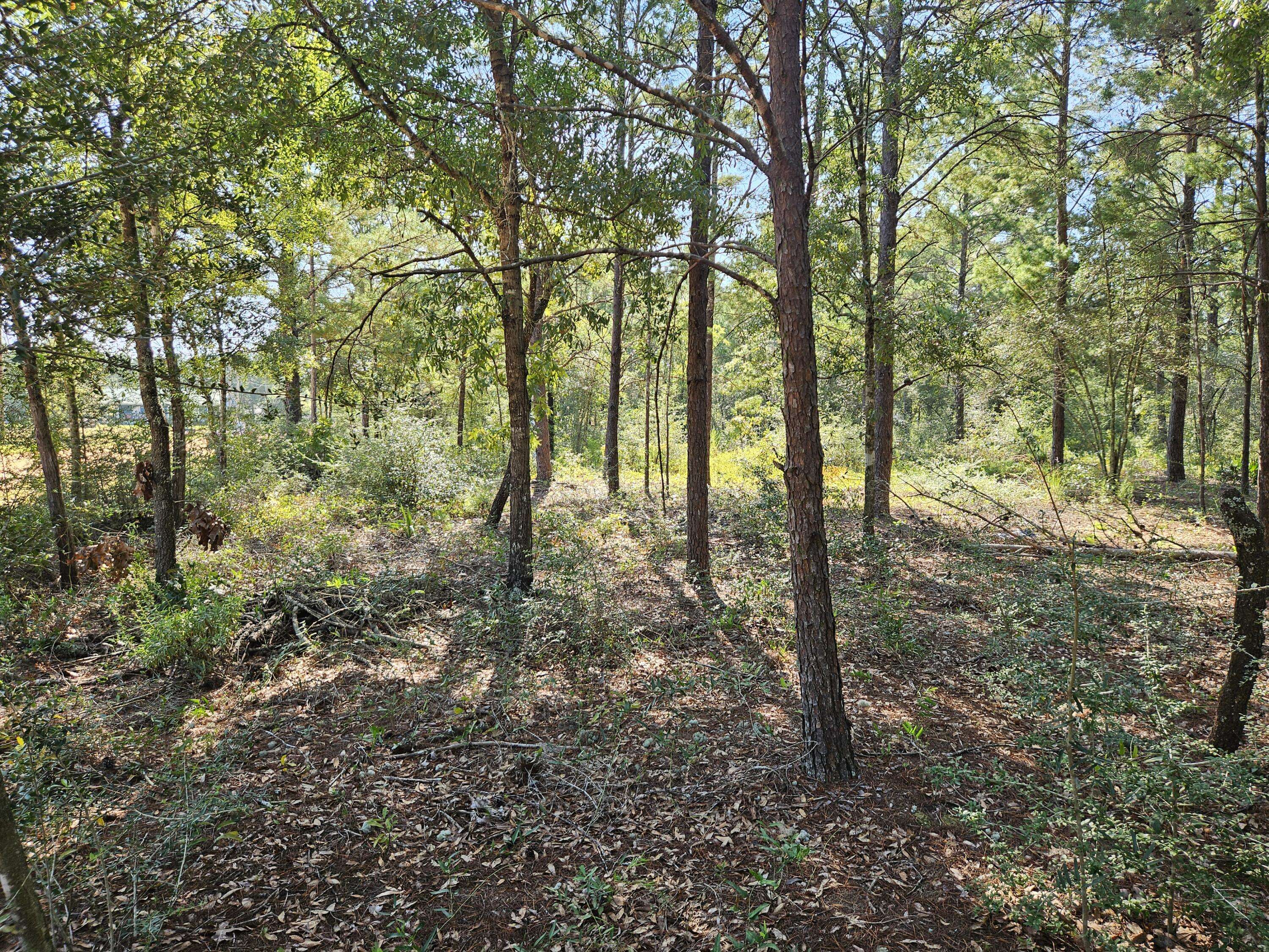 Defuniak Springs, FL 32433,4 Lots W Juniper Avenue