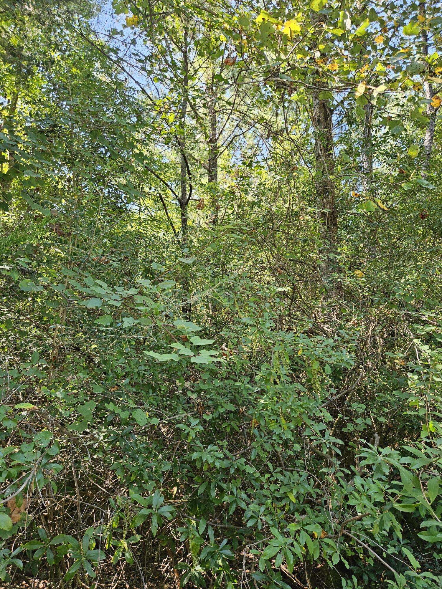 Defuniak Springs, FL 32433,Lot 37 Plantation Lane