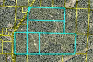 Crestview, FL 32539,150 ac Richardson Road