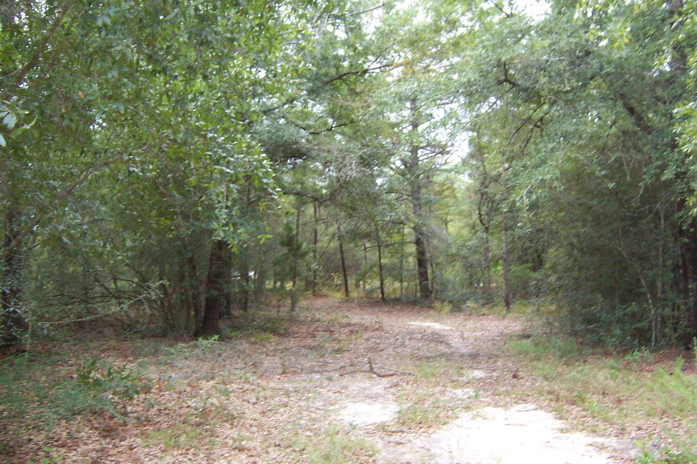 Defuniak Springs, FL 32433,2 lots W Fernwood West Court