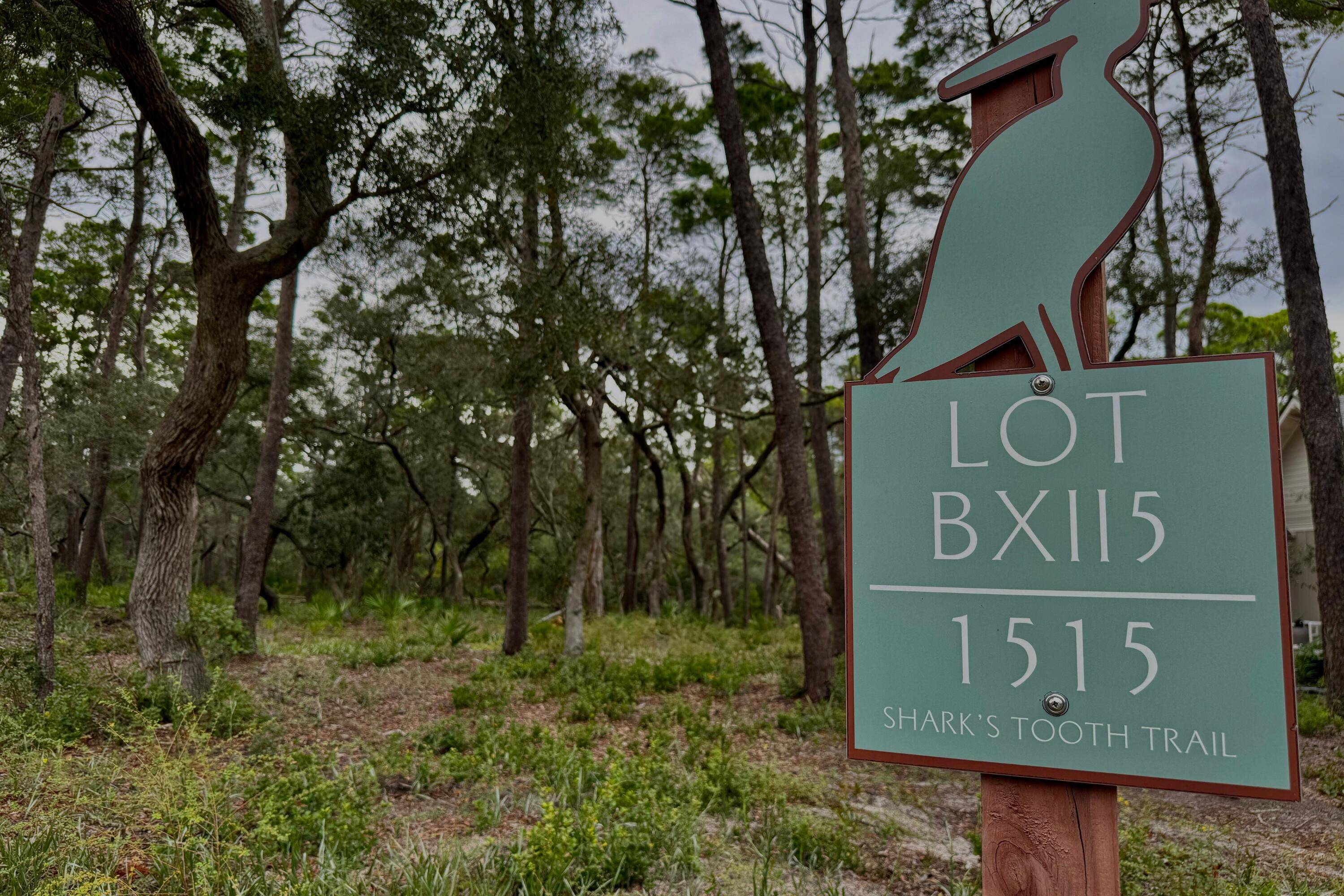 Panama City Beach, FL 32413,1515 Sharks Tooth Trail