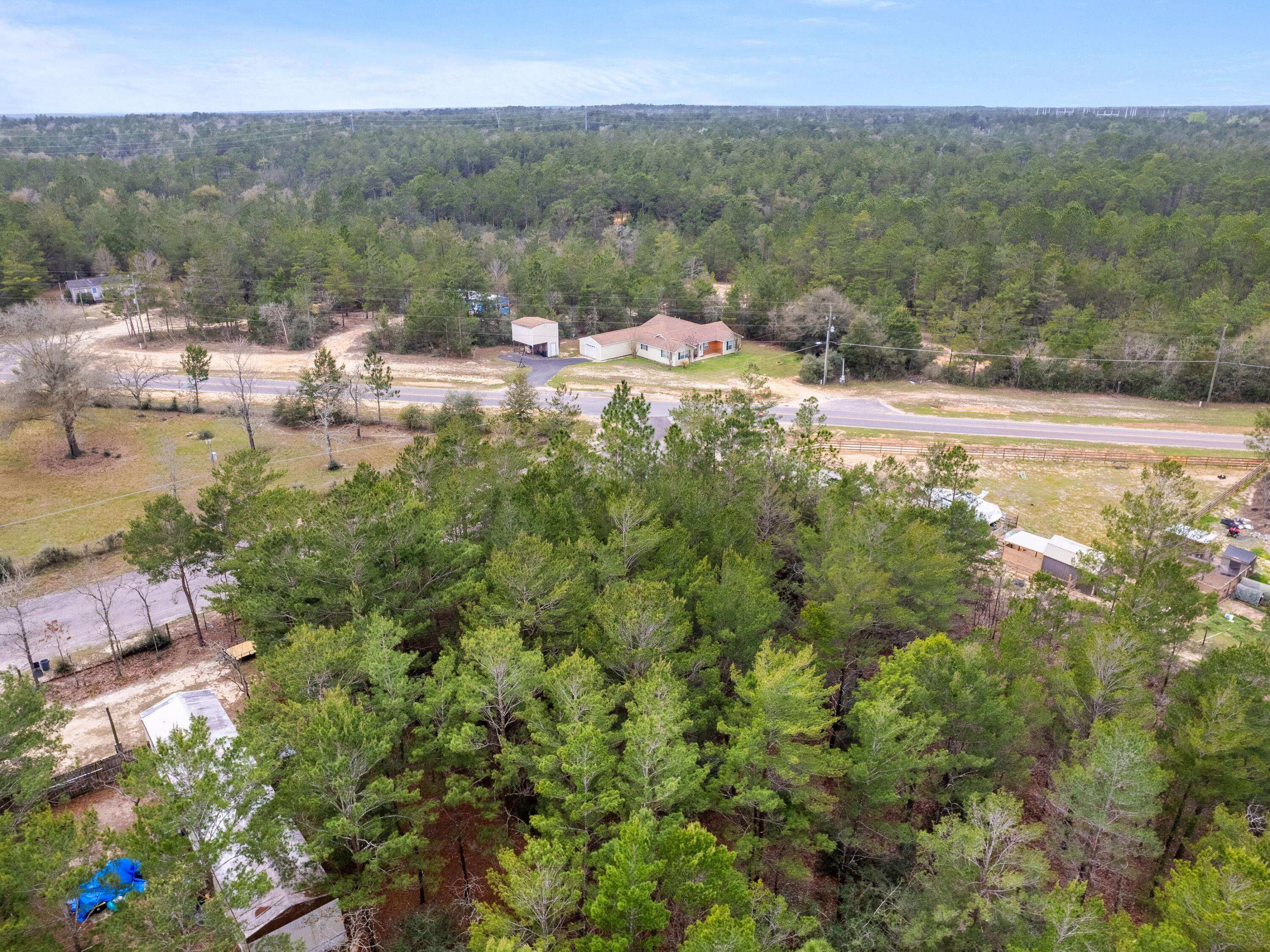 Defuniak Springs, FL 32433,Lot 4 E Tiger Lily Lane