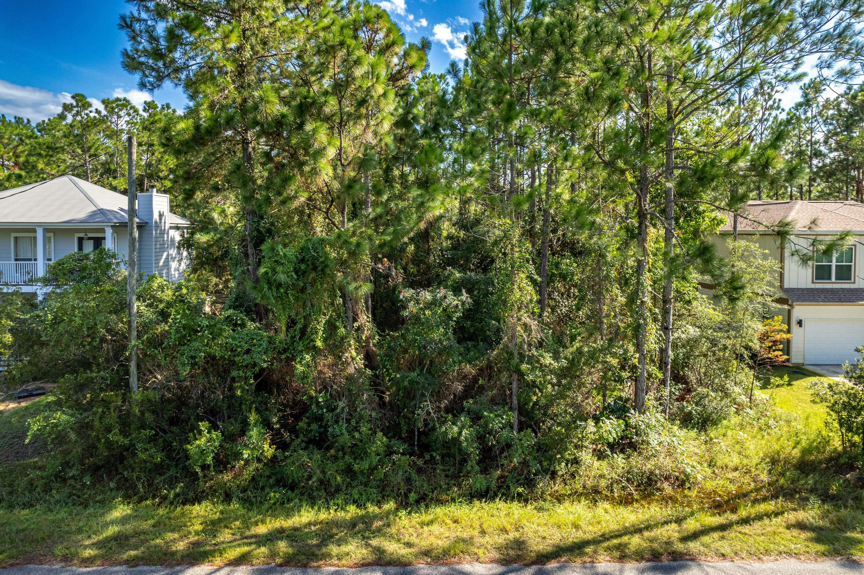 Santa Rosa Beach, FL 32459,Lot 5 E Lamb Dr