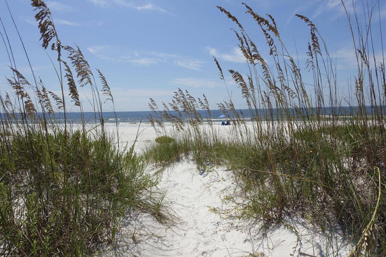 Mexico Beach, FL 32456,124 W Sugar Sand