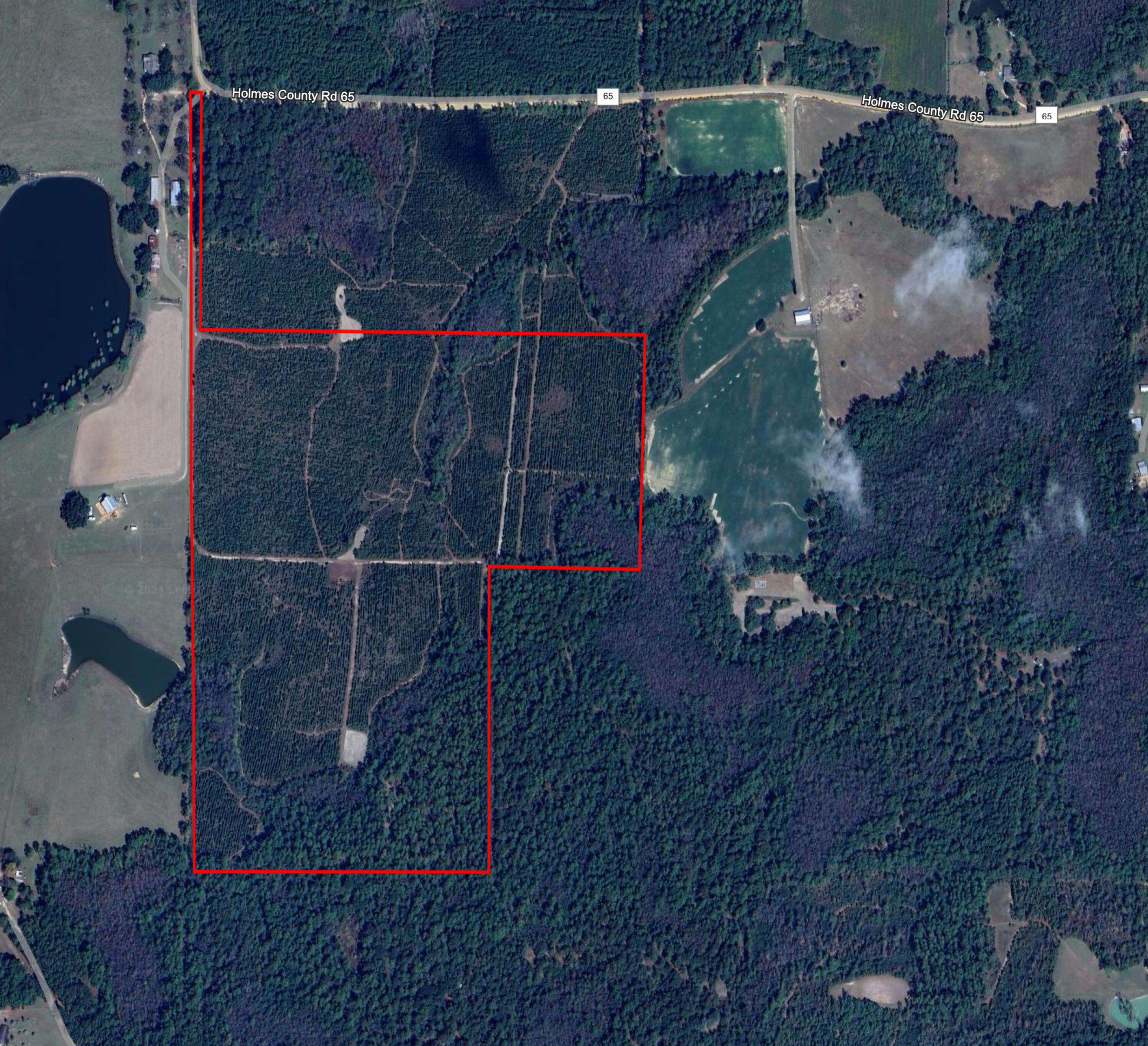 Bonifay, FL 32425,Tract 6307 County Road 65