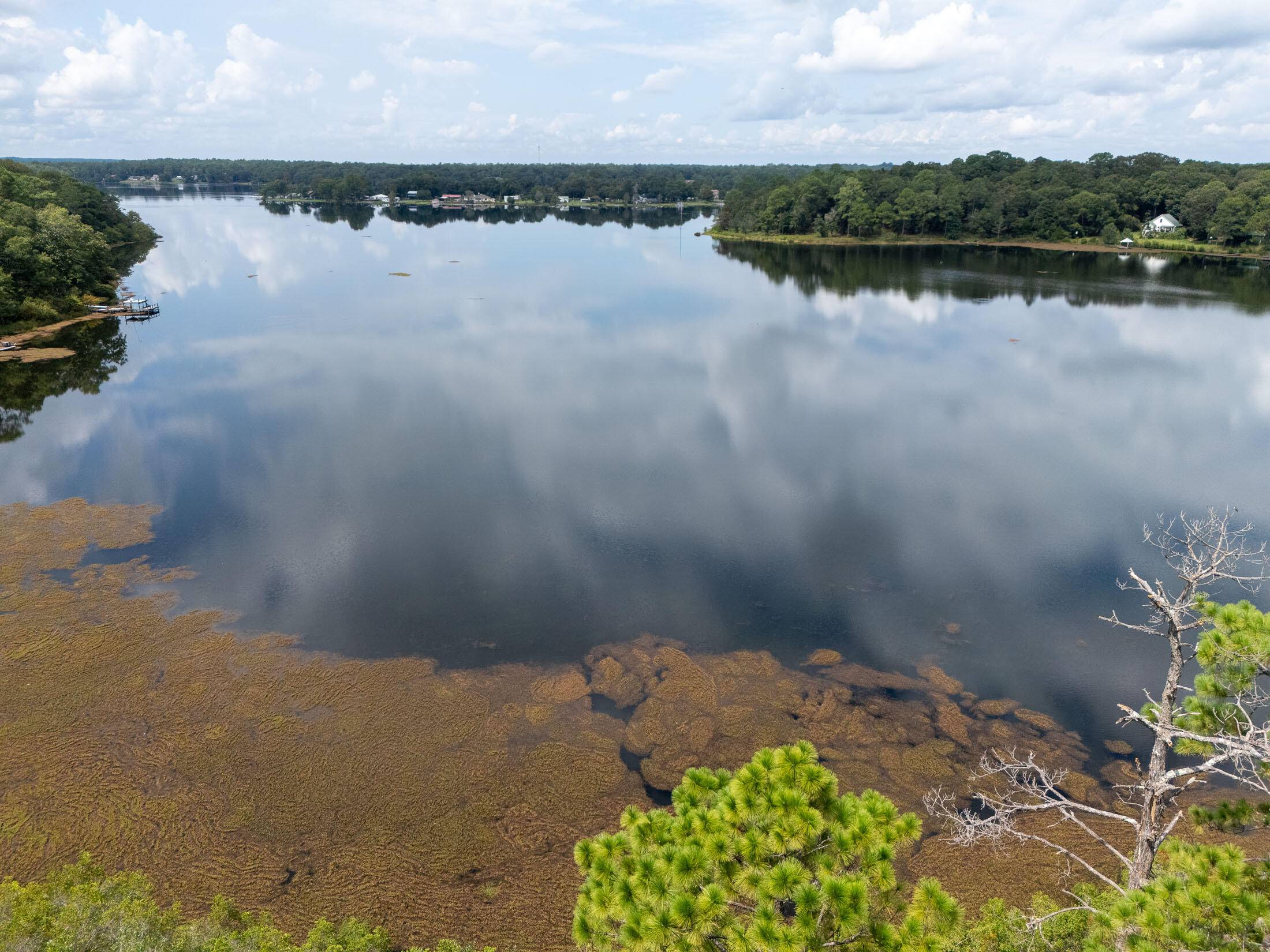 Defuniak Springs, FL 32433,5 Acres Holley King Road