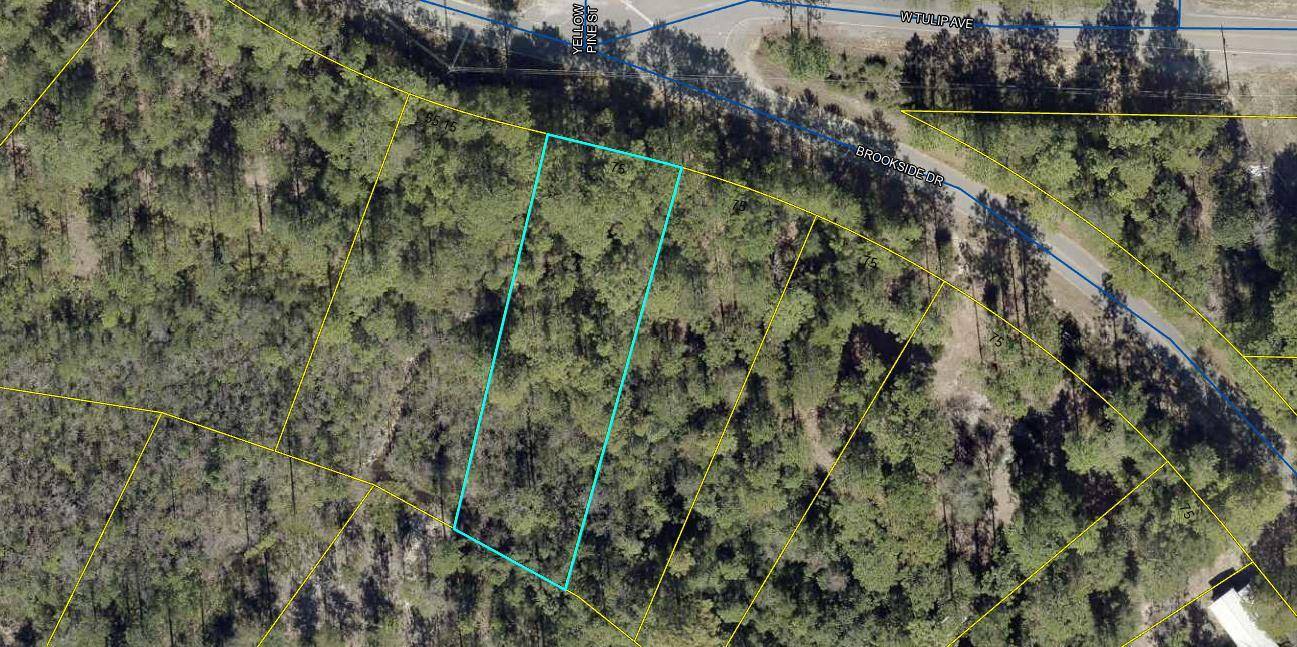 Defuniak Springs, FL 32433,LOT 74 Brookside Drive