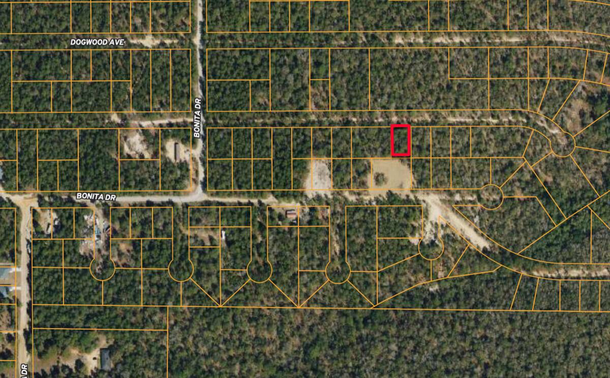 Defuniak Springs, FL 32433,lot 29 E Box Elder Drive