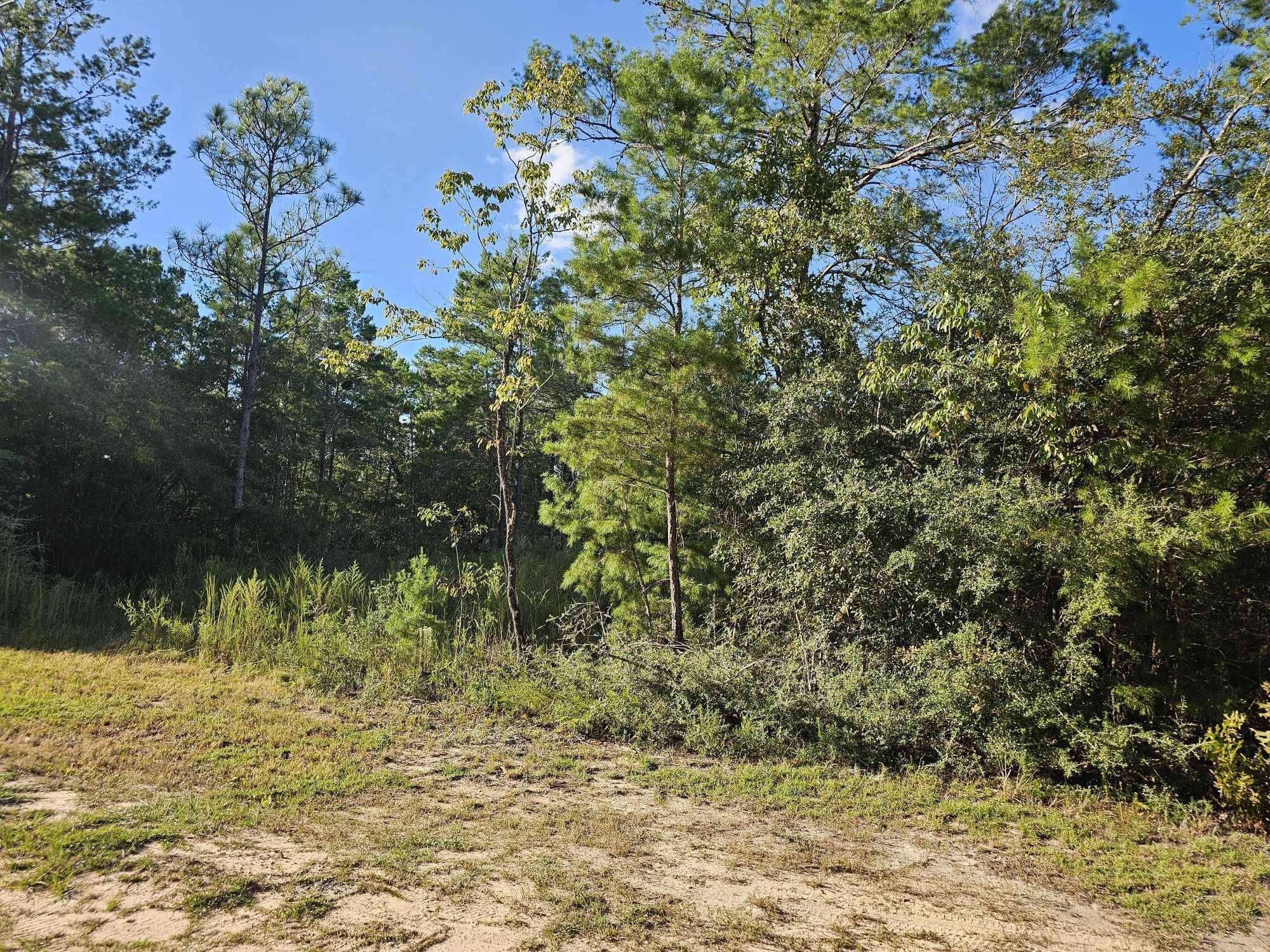 Defuniak Springs, FL 32433,Lot 2 & 3 W BLUEBOTTLE CT