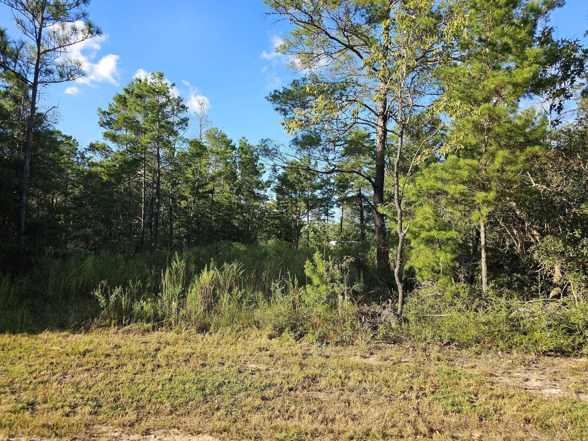 Defuniak Springs, FL 32433,Lot 2 & 3 W BLUEBOTTLE CT