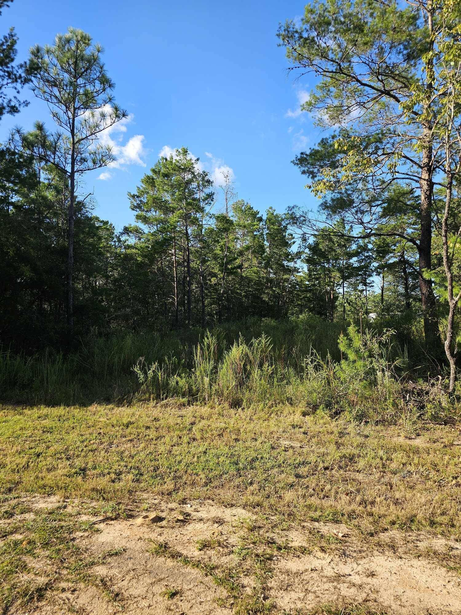 Defuniak Springs, FL 32433,Lot 2 W BLUEBOTTLE CT