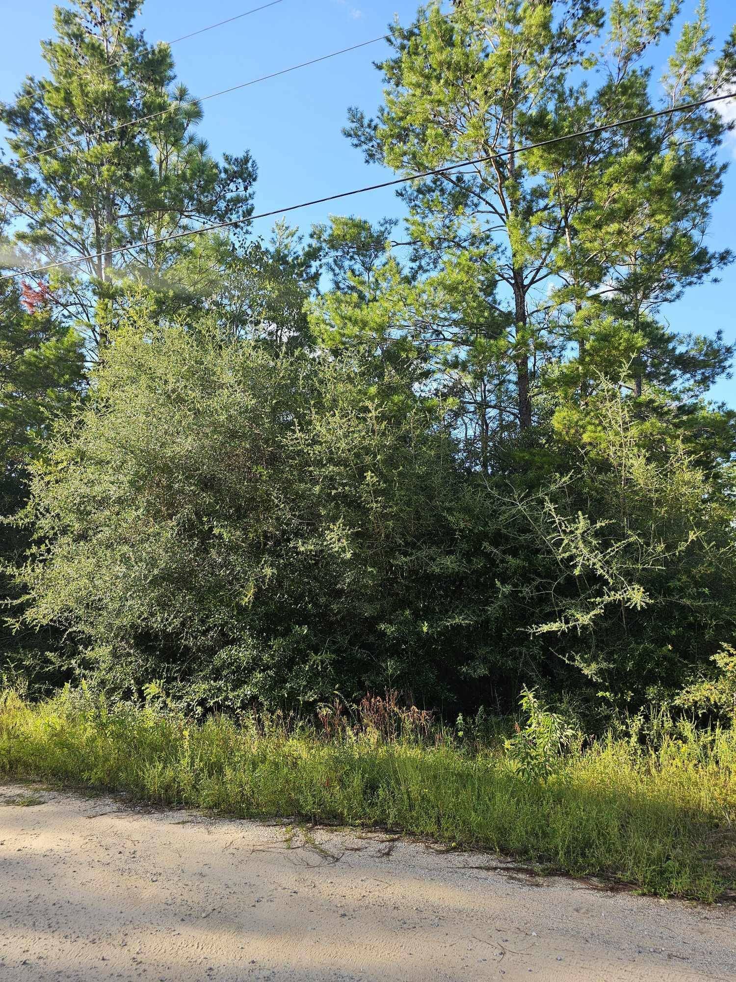 Defuniak Springs, FL 32433,Lot 3 W BLUEBOTTLE CT